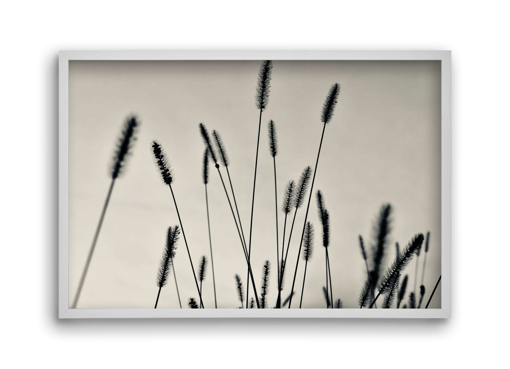 Cloud light, 45x30 cm (45x30 cm), Fehér keret