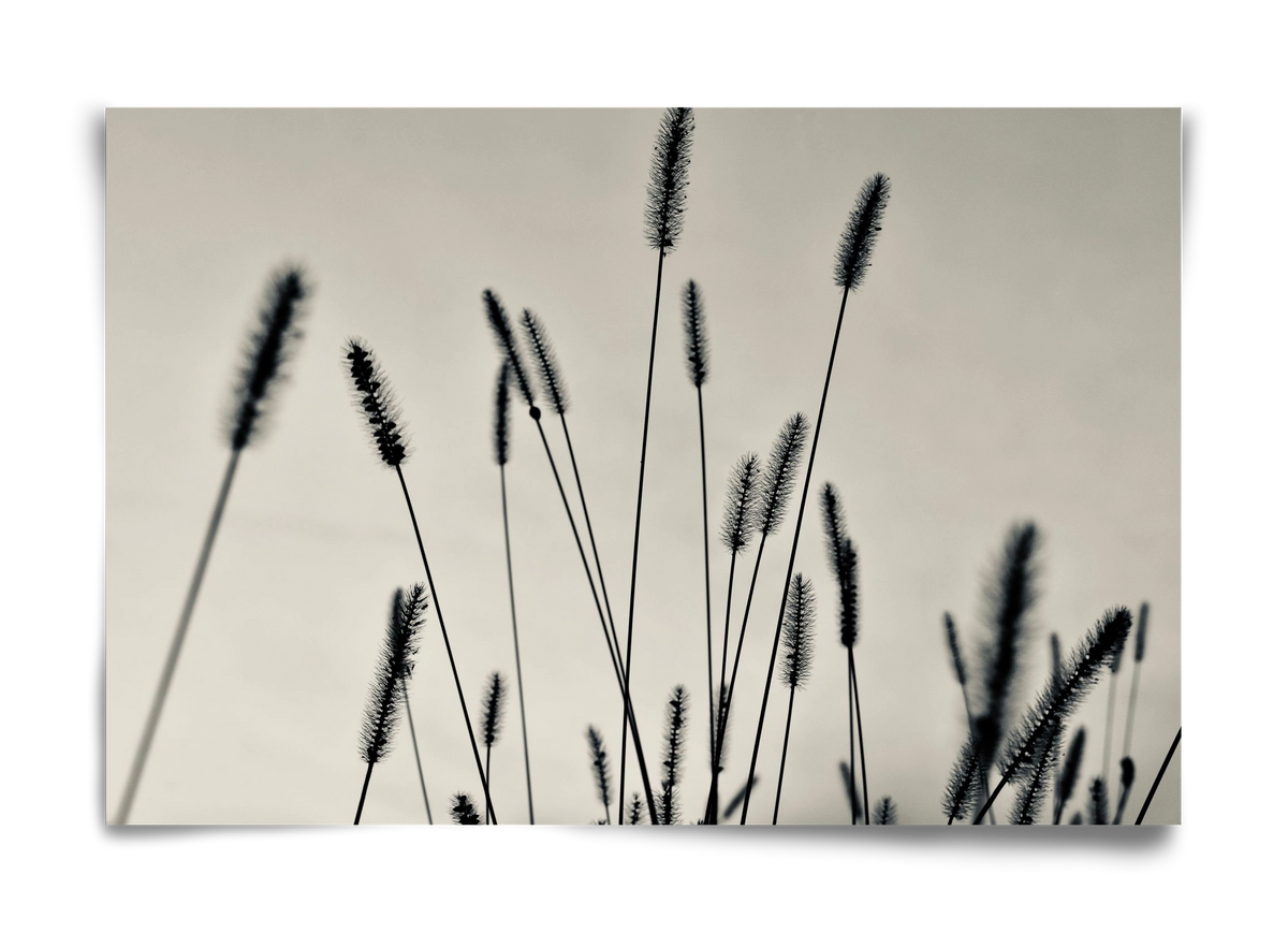 Cloud light, 60x40 cm, Keret nélkül