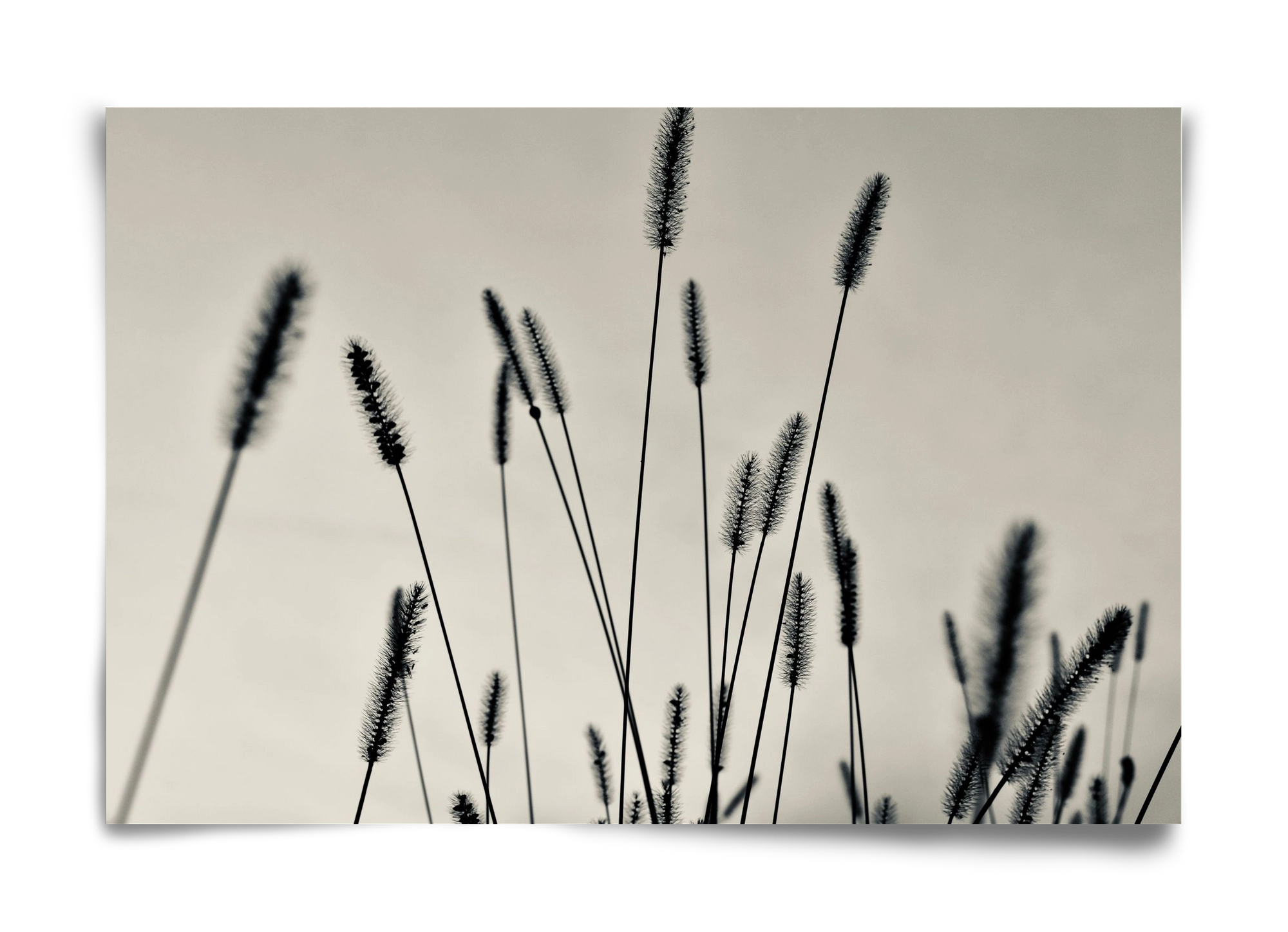 Cloud light, 60x40 cm, Keret nélkül