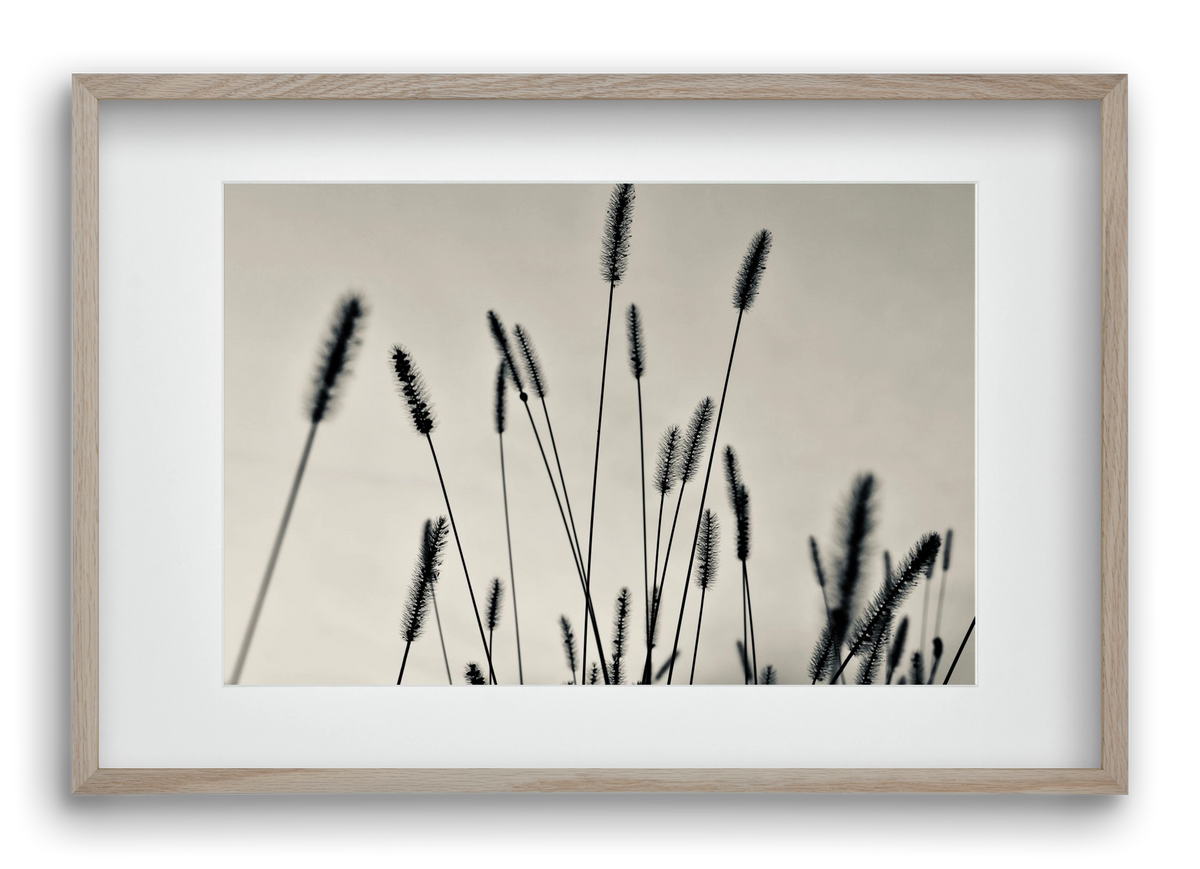 Cloud light, 60x40 cm (45x30 cm), Tölgy keret, paszpartuval