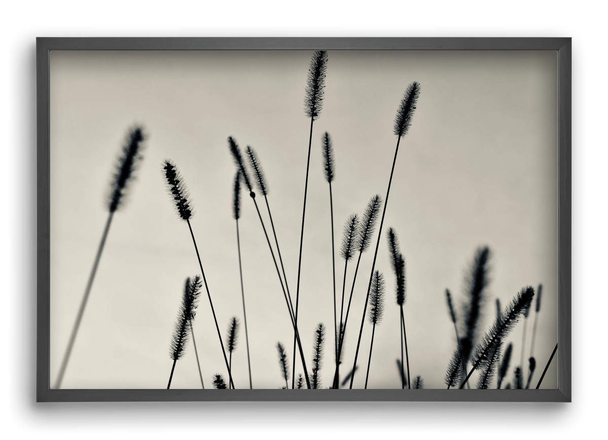 Cloud light, 60x40 cm (60x40 cm), Fekete keret