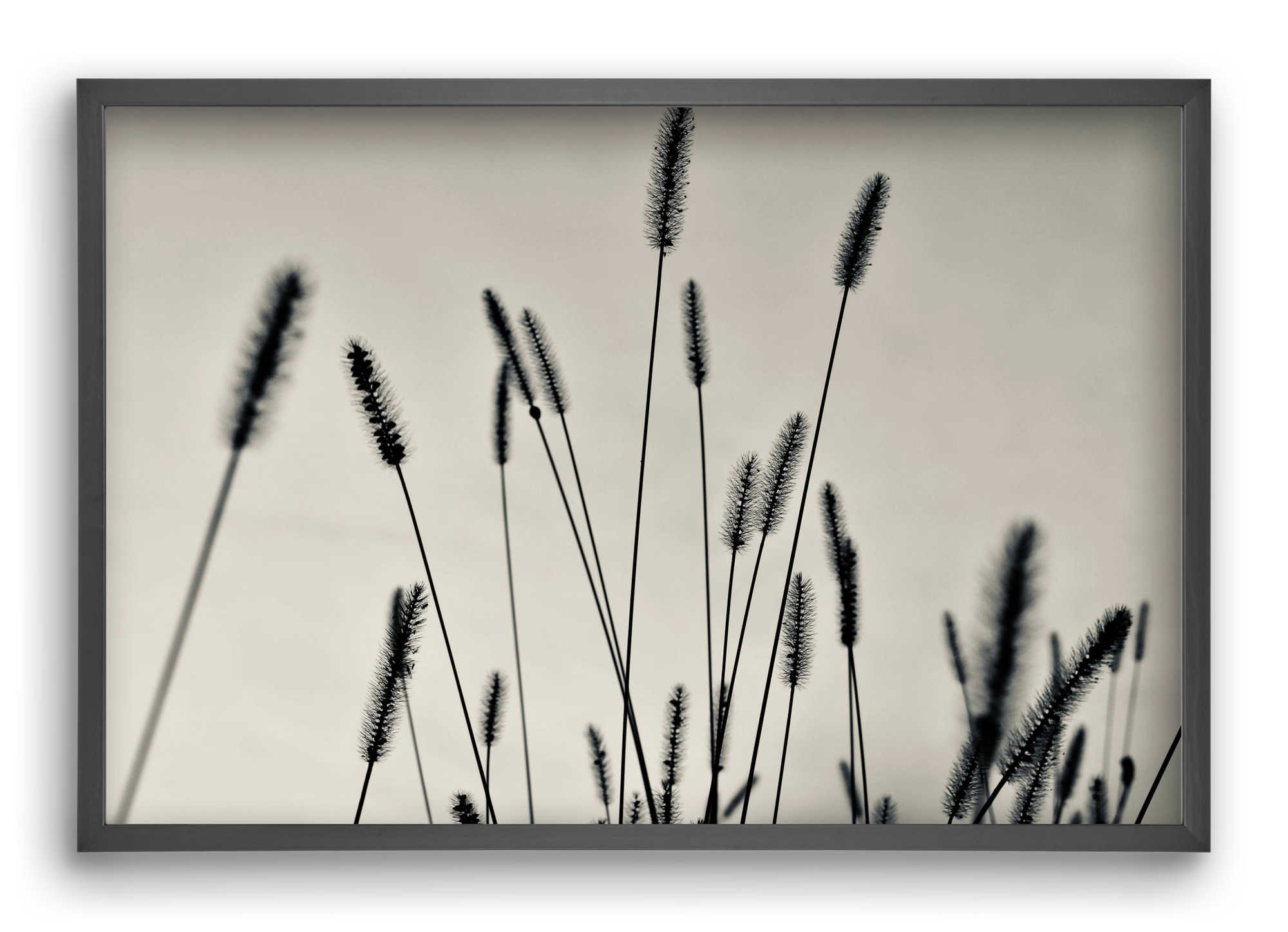 Cloud light, 60x40 cm (60x40 cm), Fekete keret