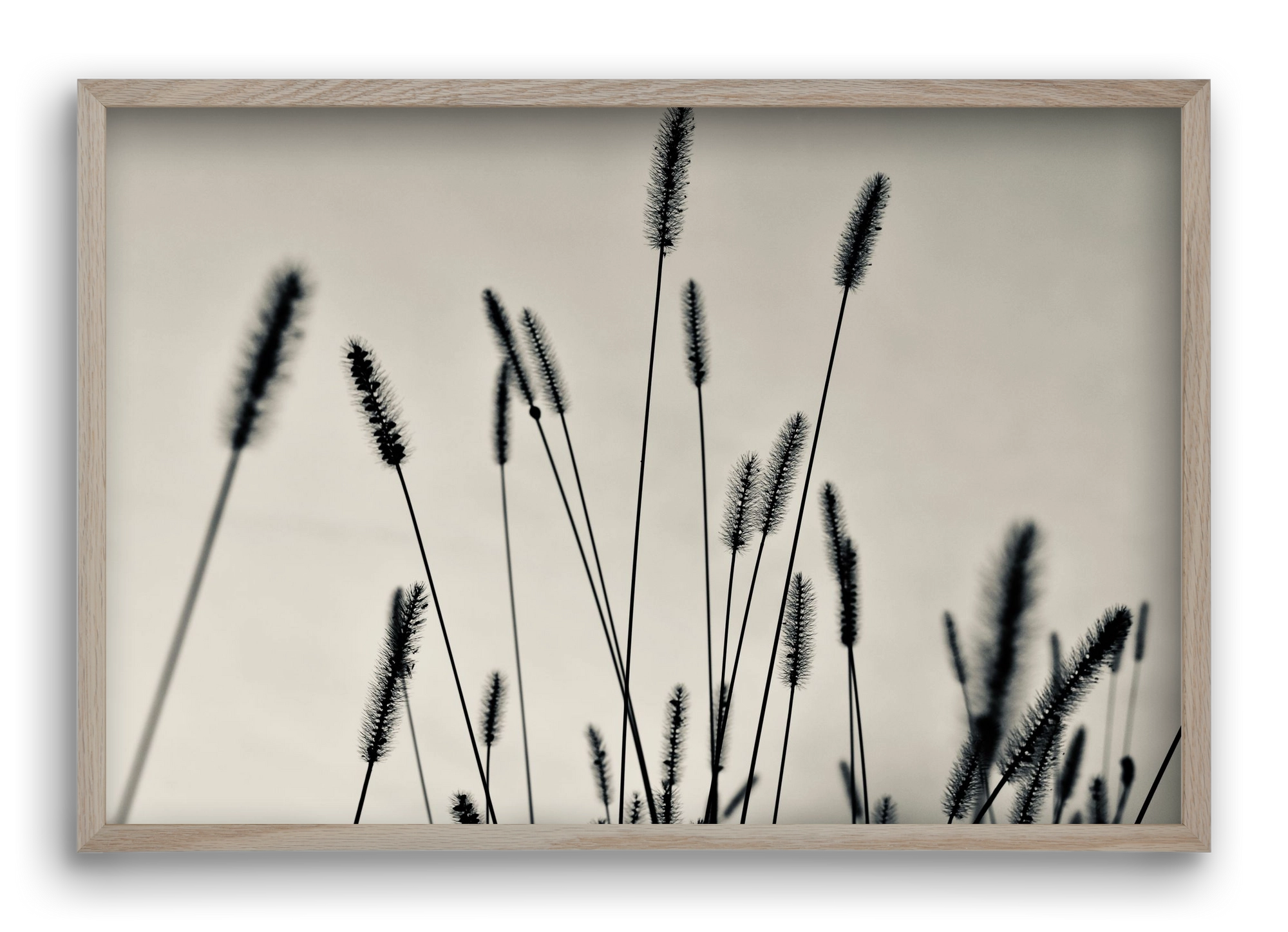 Cloud light, 60x40 cm (60x40 cm), Tölgy keret