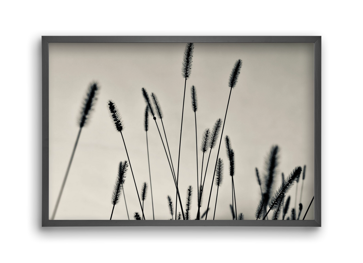 Cloud light, 45x30 cm (45x30 cm), Fekete keret