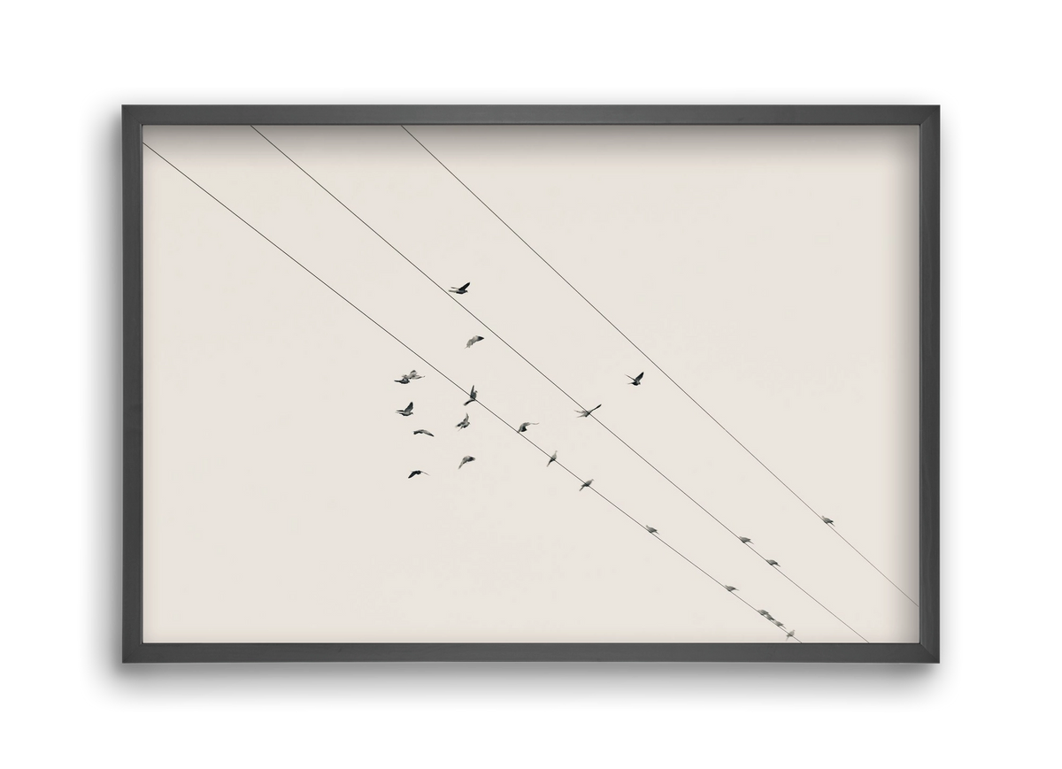 Matrix , 45x30 cm (45x30 cm), Fekete keret