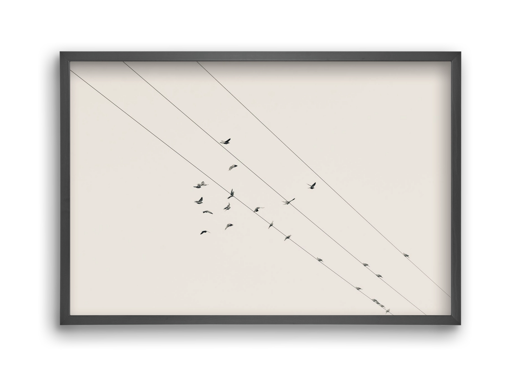 Matrix , 45x30 cm (45x30 cm), Fekete keret