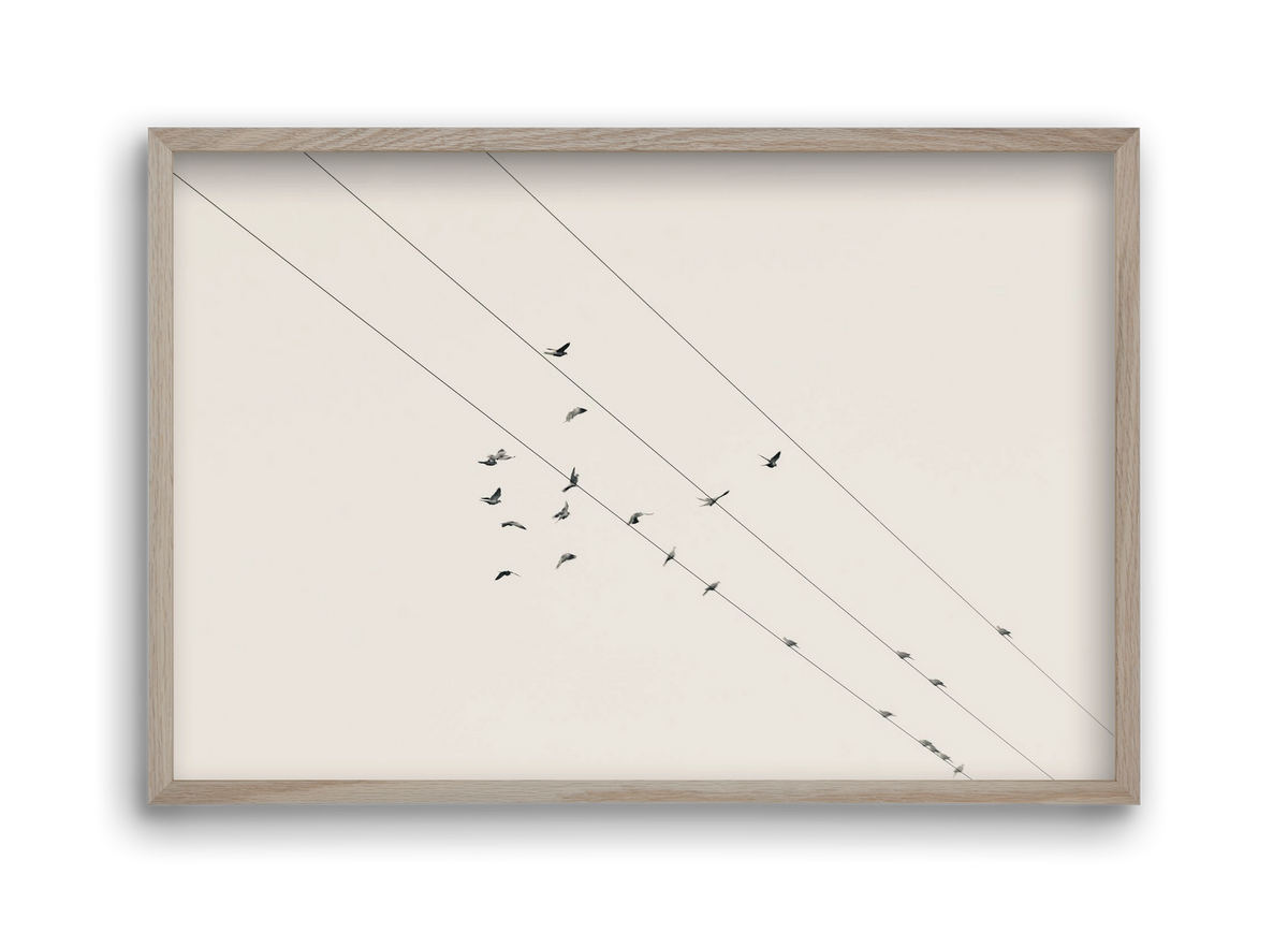 Matrix , 45x30 cm (45x30 cm), Tölgy keret