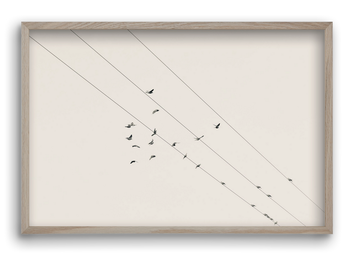 Matrix , 60x40 cm (60x40 cm), Tölgy keret