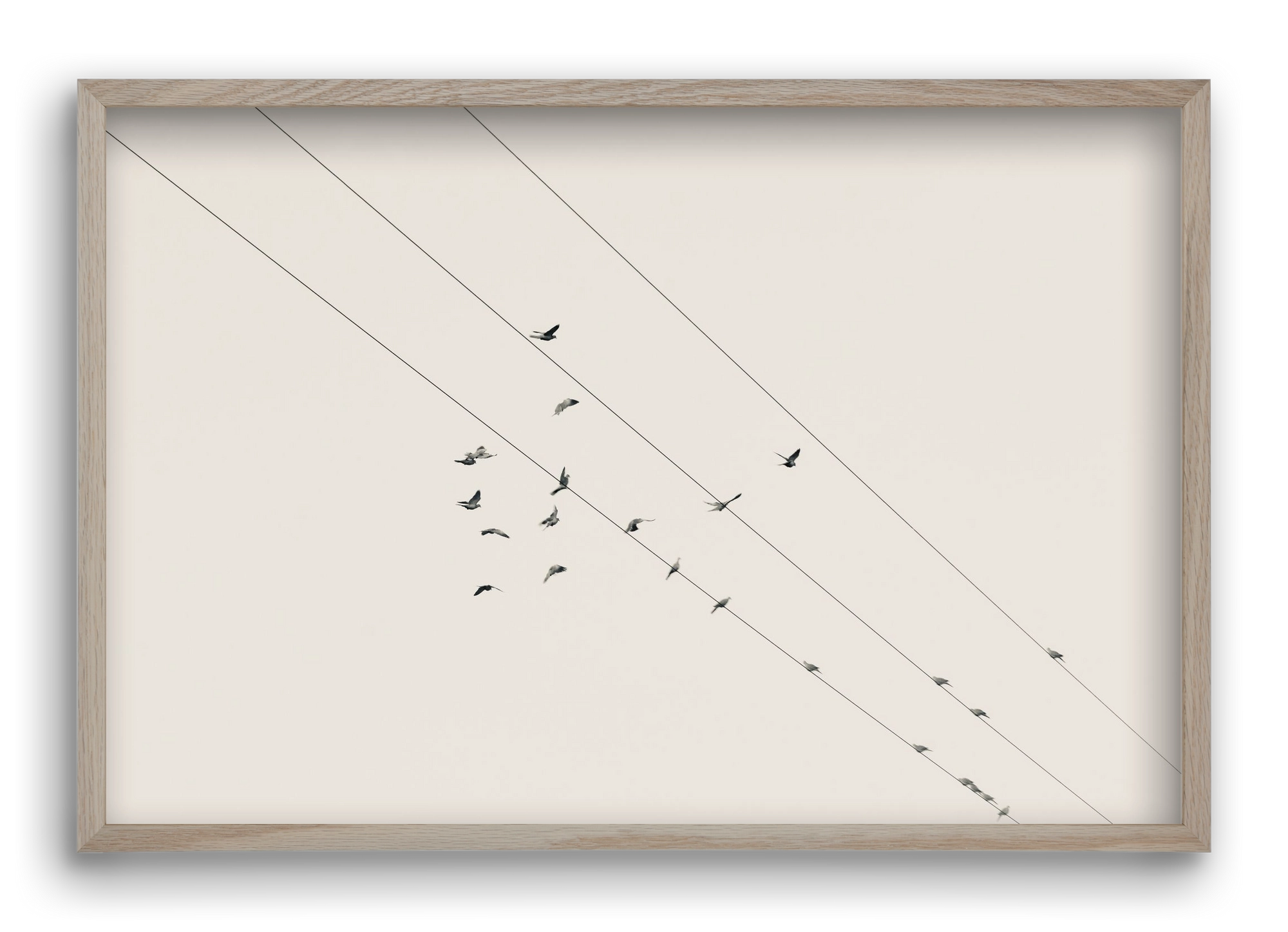 Matrix , 60x40 cm (60x40 cm), Tölgy keret