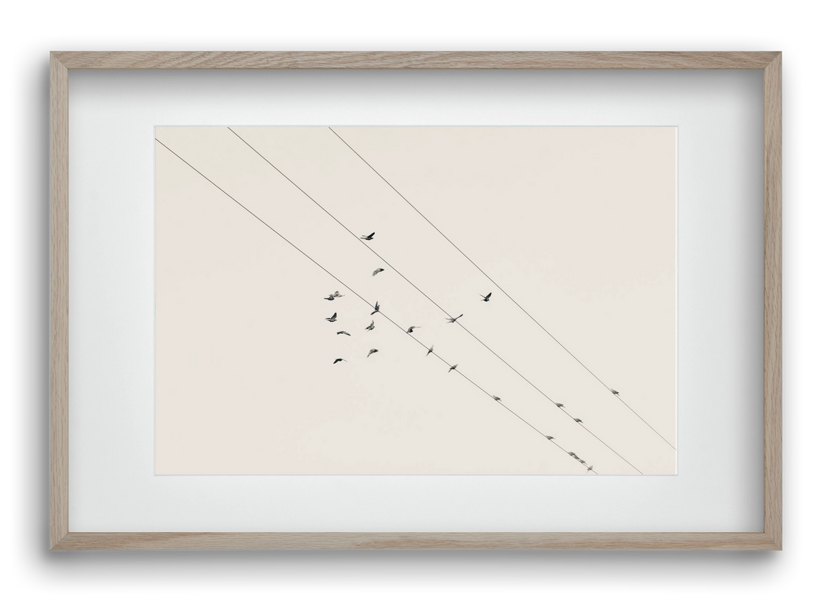 Matrix , 60x40 cm (45x30 cm), Tölgy keret, paszpartuval