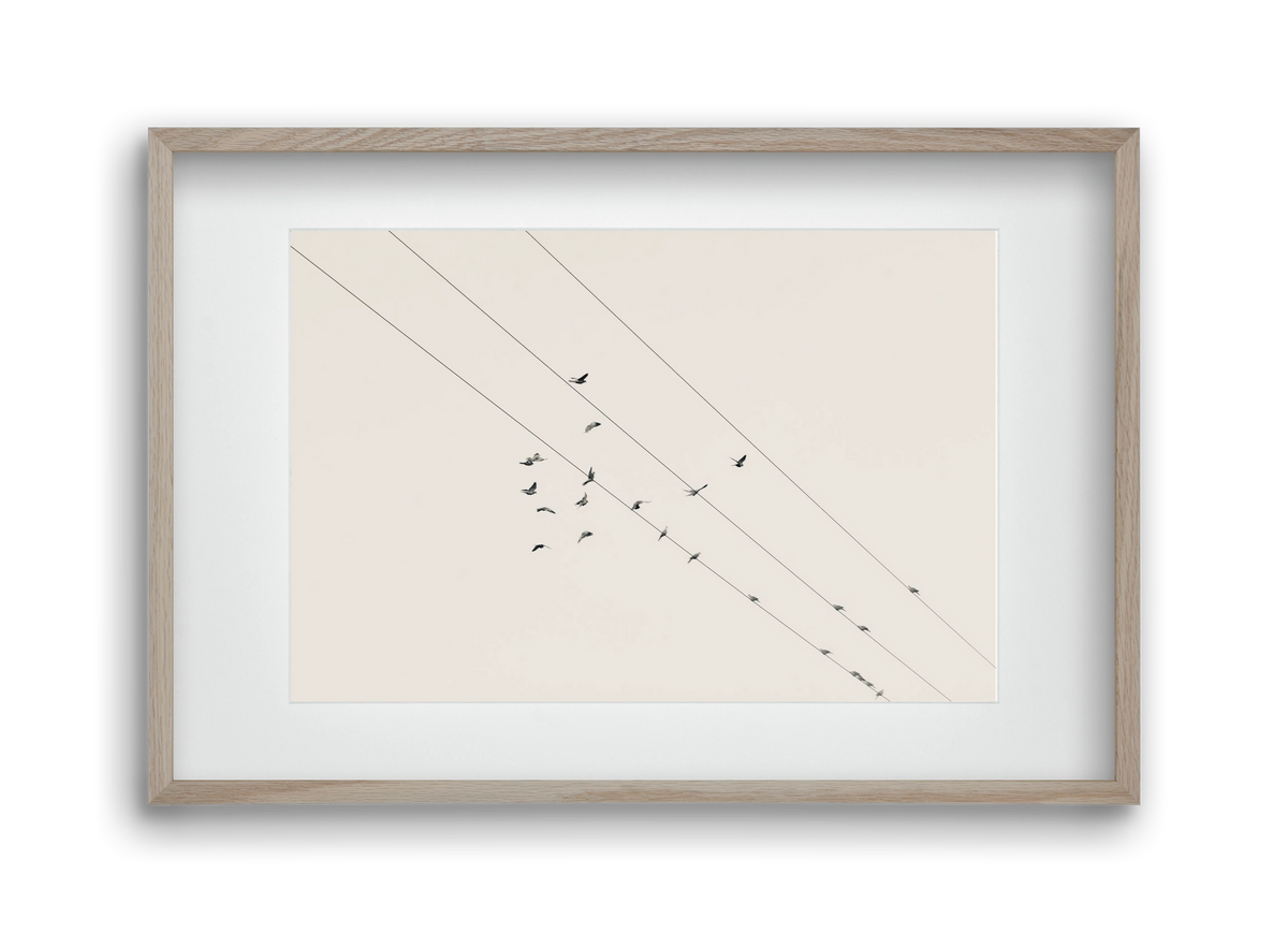 Matrix , 45x30 cm (30x20 cm), Tölgy keret, paszpartuval