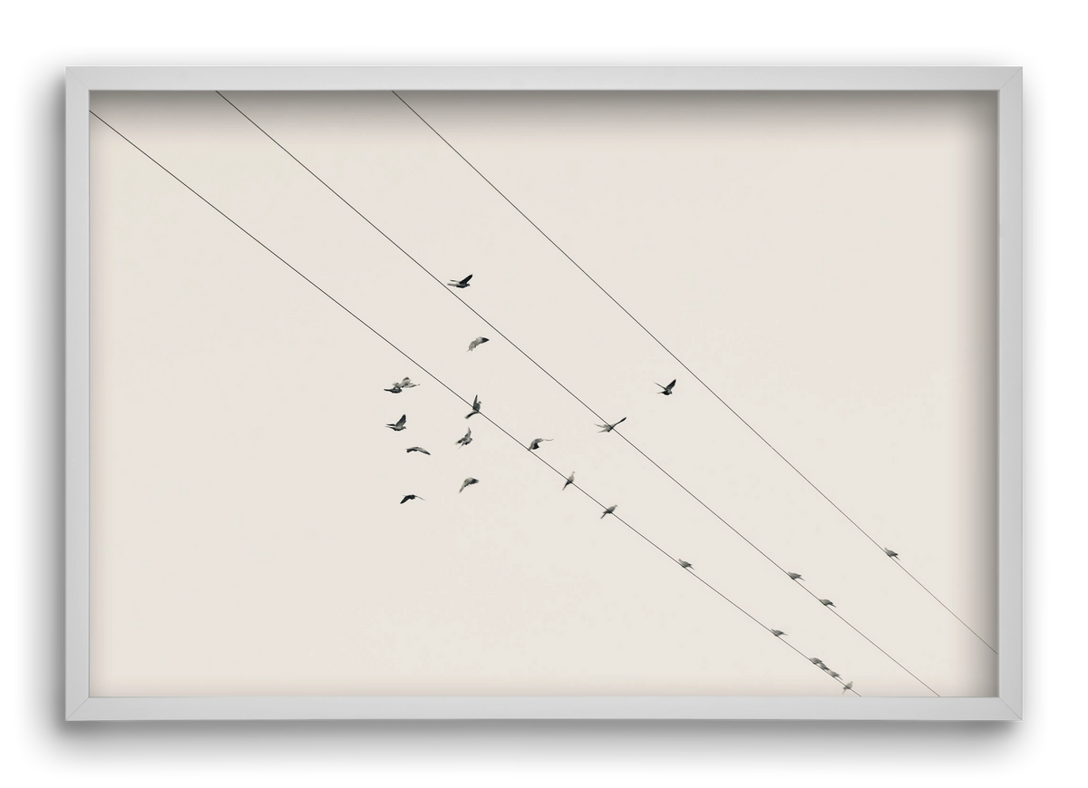 Matrix , 60x40 cm (60x40 cm), Fehér keret