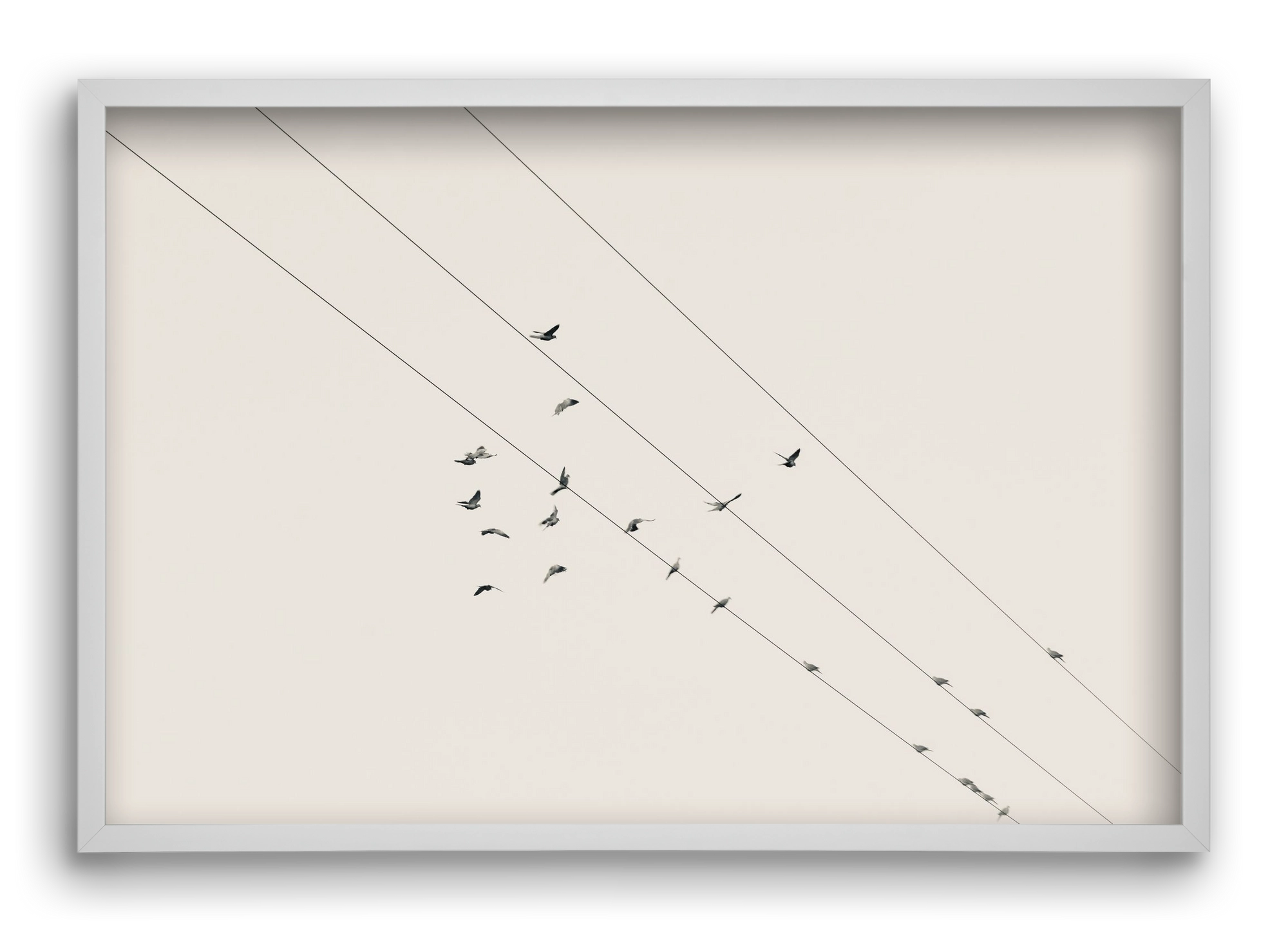 Matrix , 60x40 cm (60x40 cm), Fehér keret