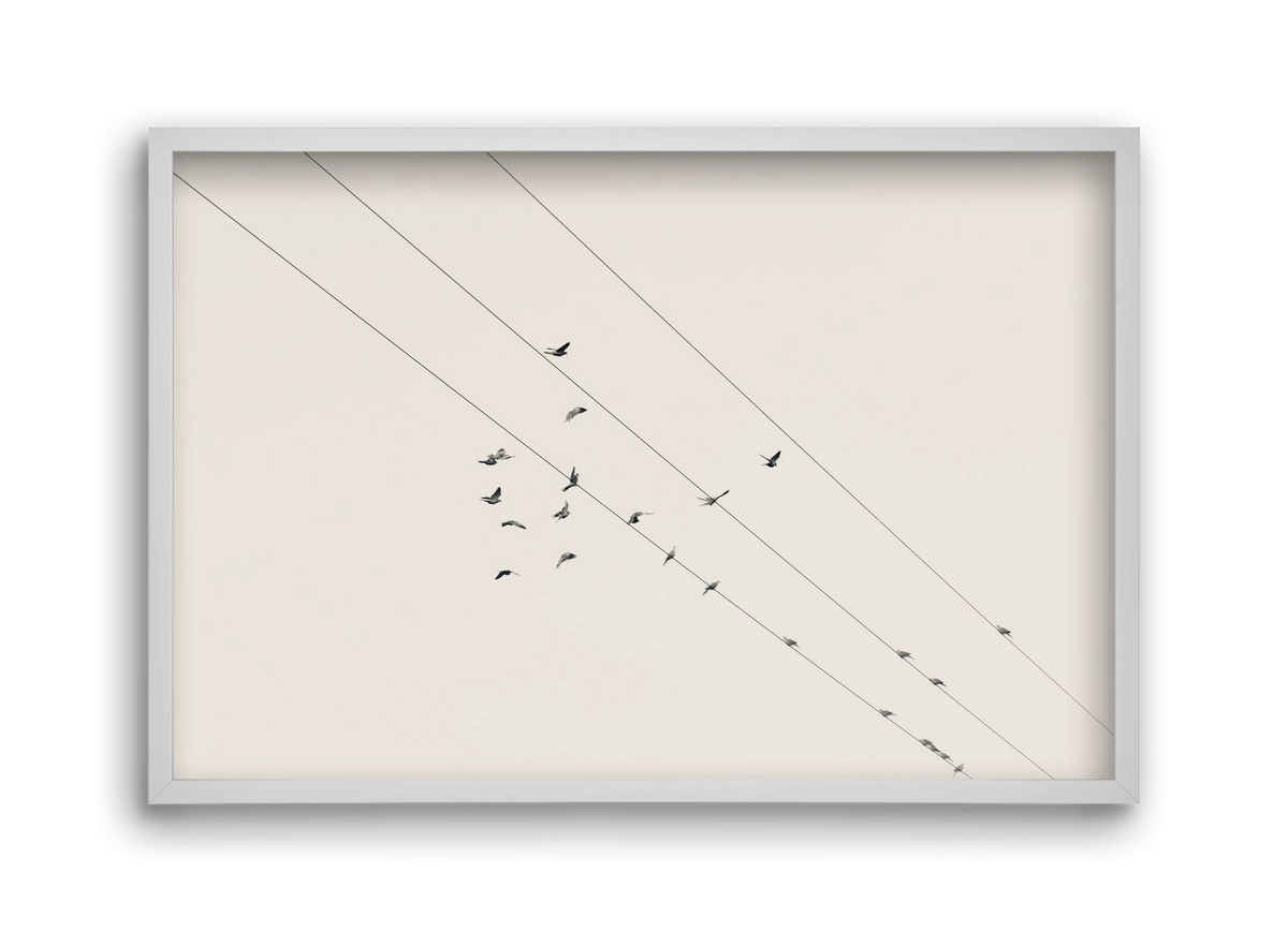 Matrix , 45x30 cm (45x30 cm), Fehér keret