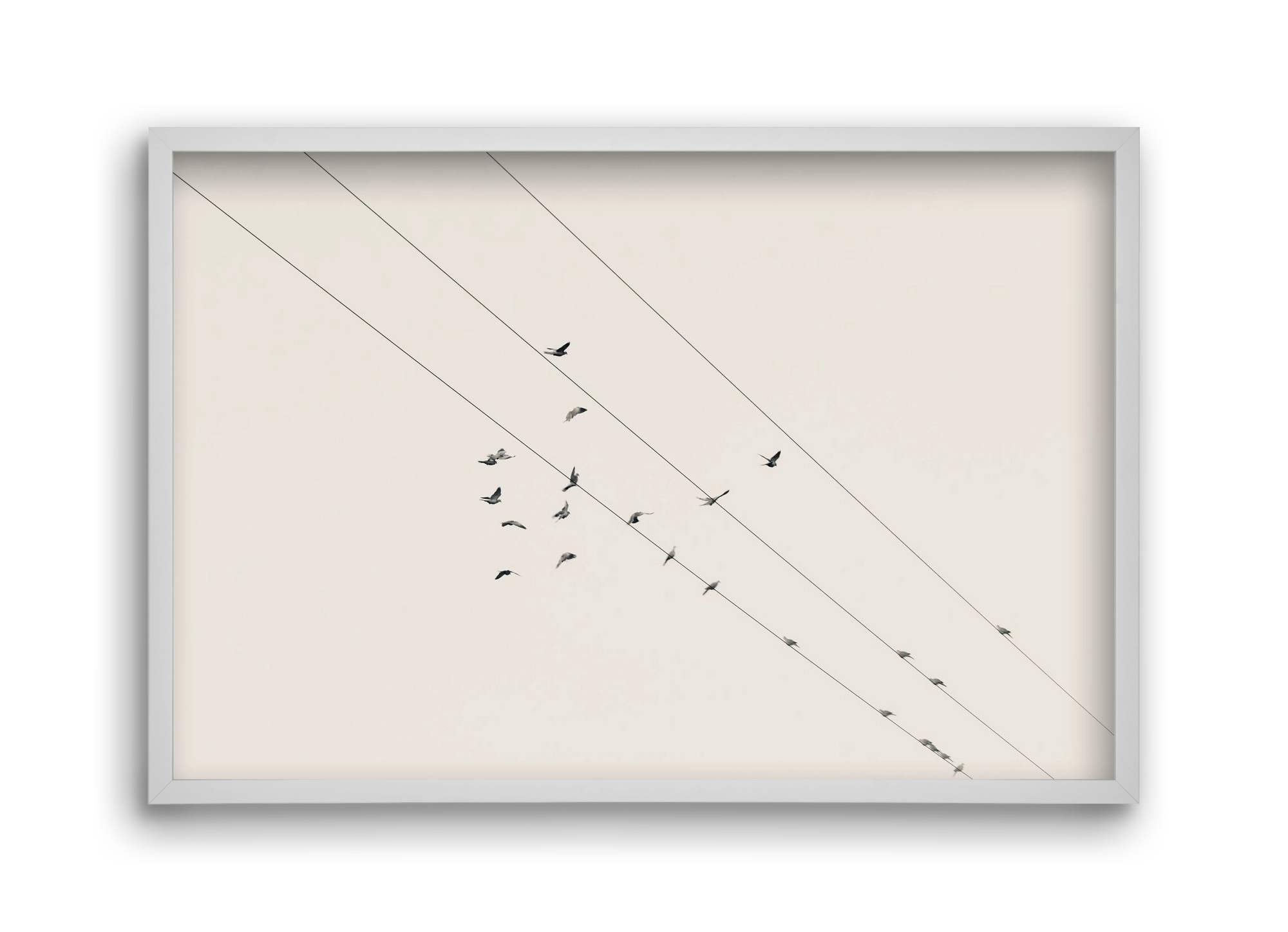 Matrix , 45x30 cm (45x30 cm), Fehér keret