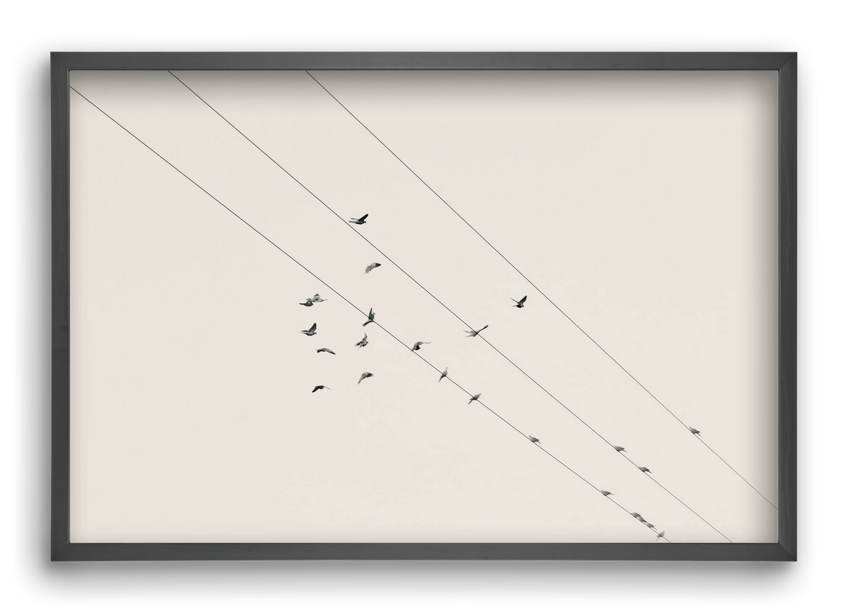 Matrix , 60x40 cm (60x40 cm), Fekete keret