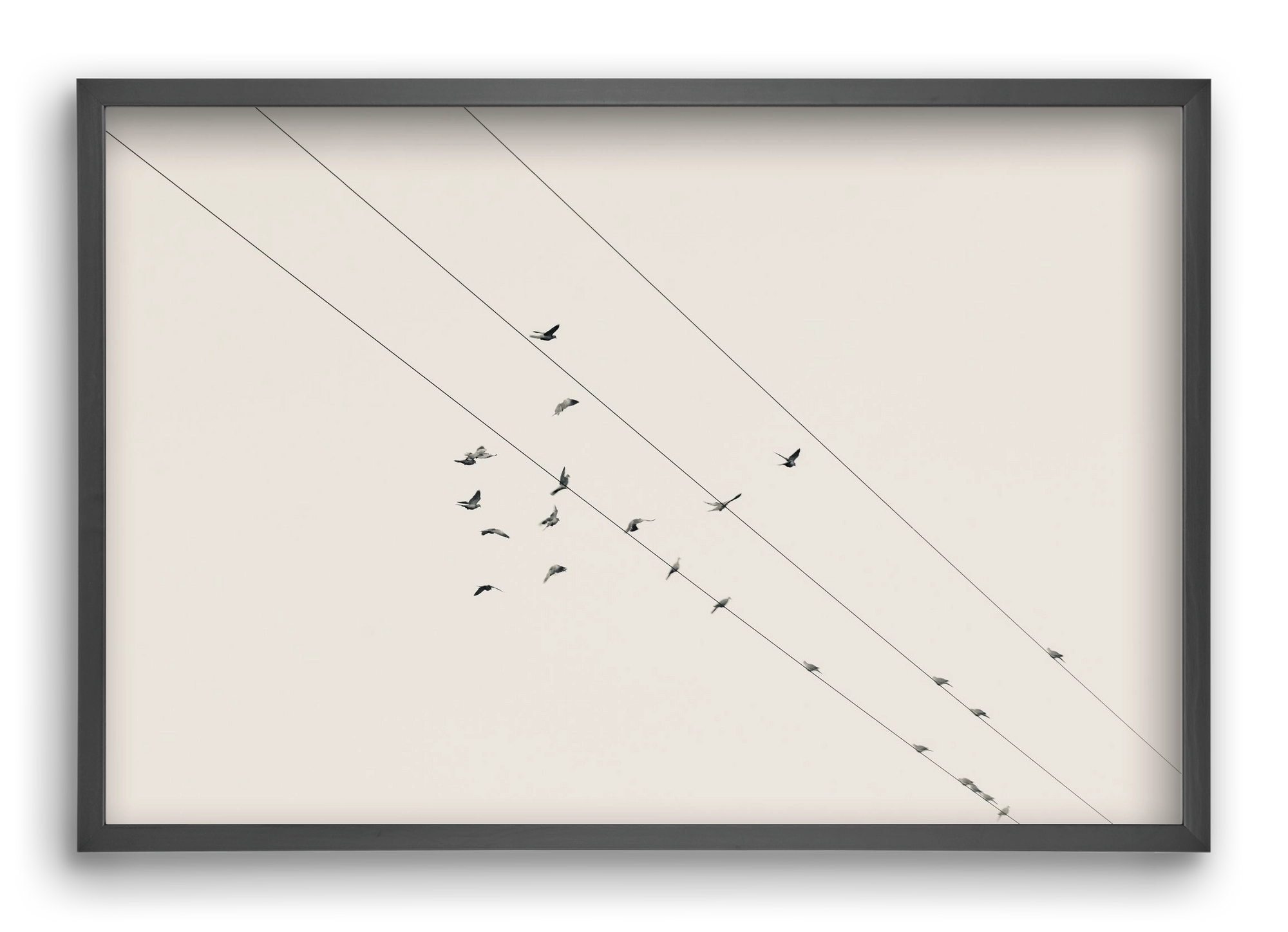 Matrix , 60x40 cm (60x40 cm), Fekete keret