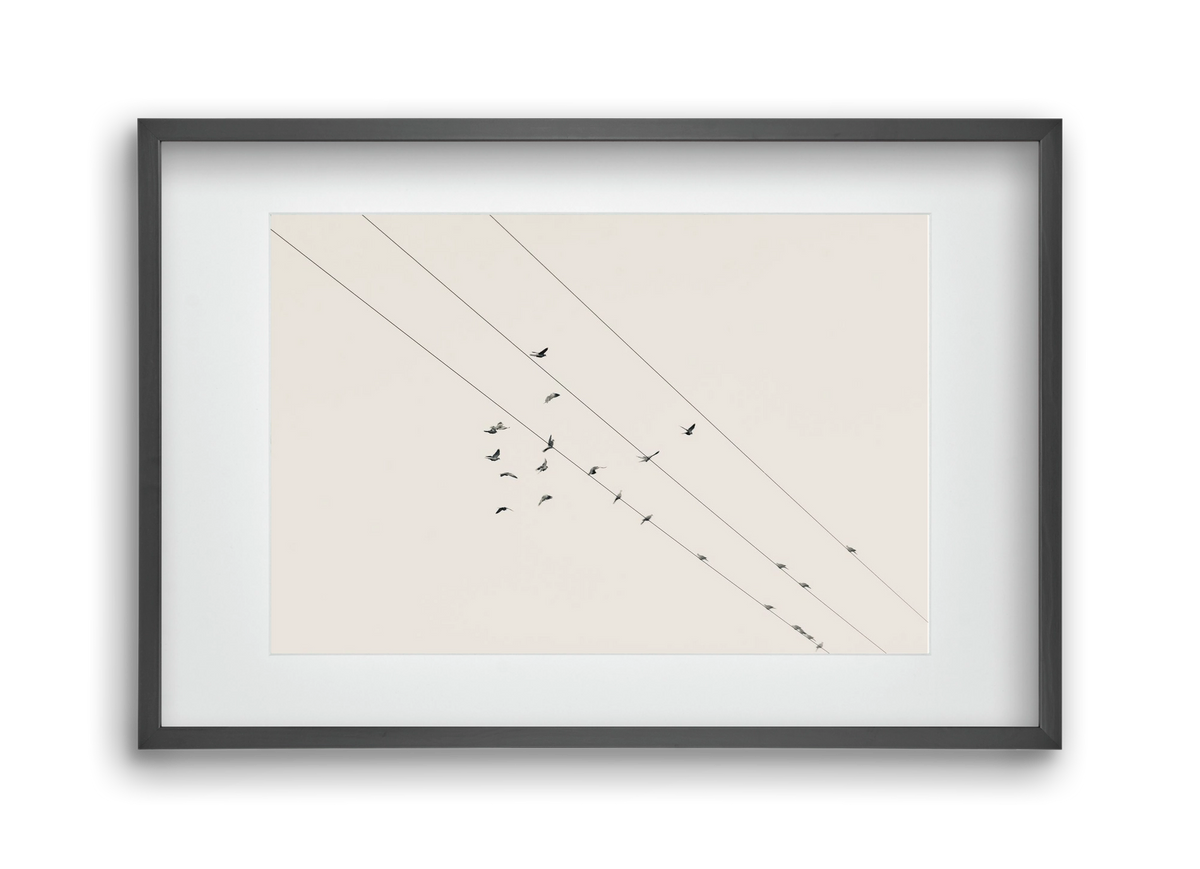 Matrix , 45x30 cm (30x20 cm), Fekete keret, paszpartuval