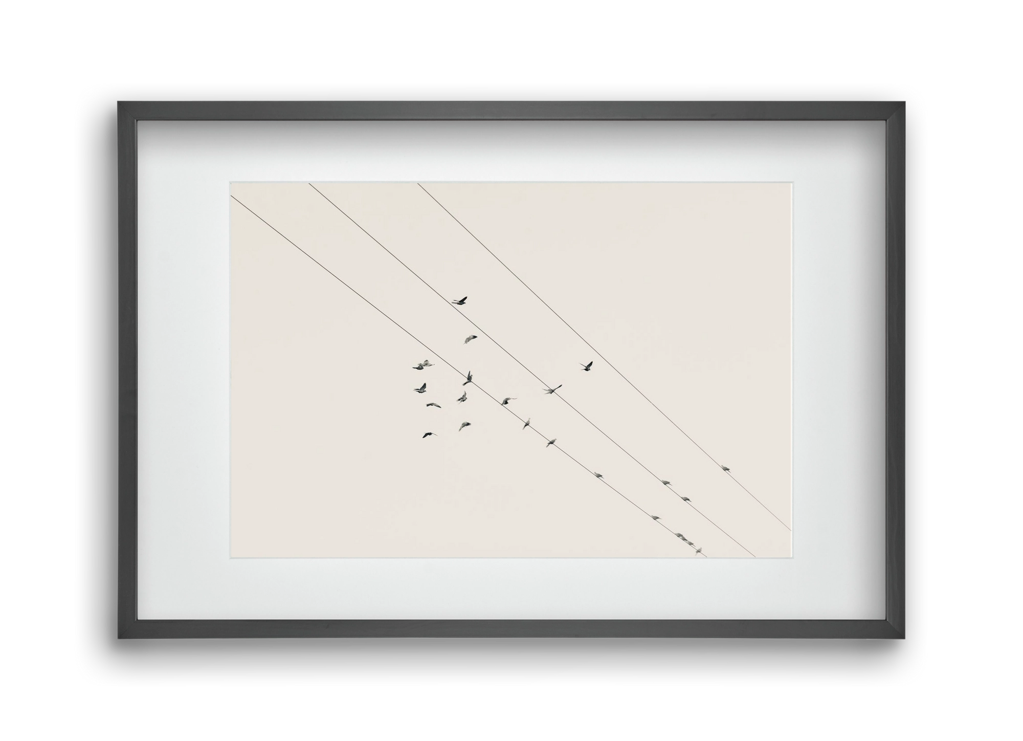 Matrix , 45x30 cm (30x20 cm), Fekete keret, paszpartuval