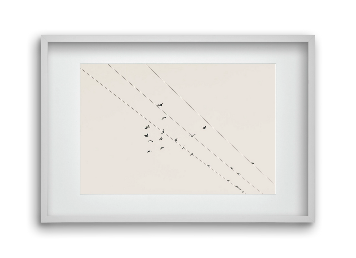 Matrix , 45x30 cm (30x20 cm), Fehér keret, paszpartuval