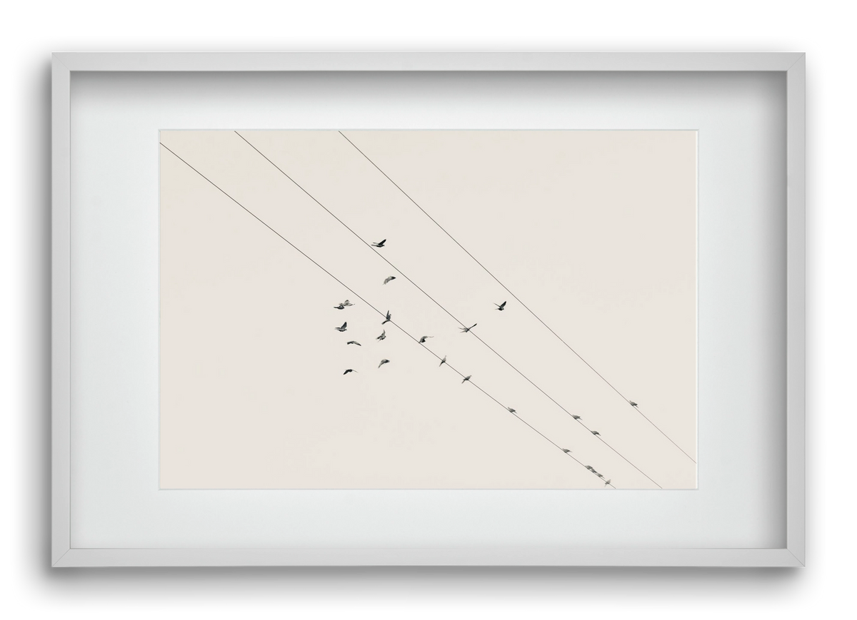 Matrix , 60x40 cm (45x30 cm), Fehér keret, paszpartuval