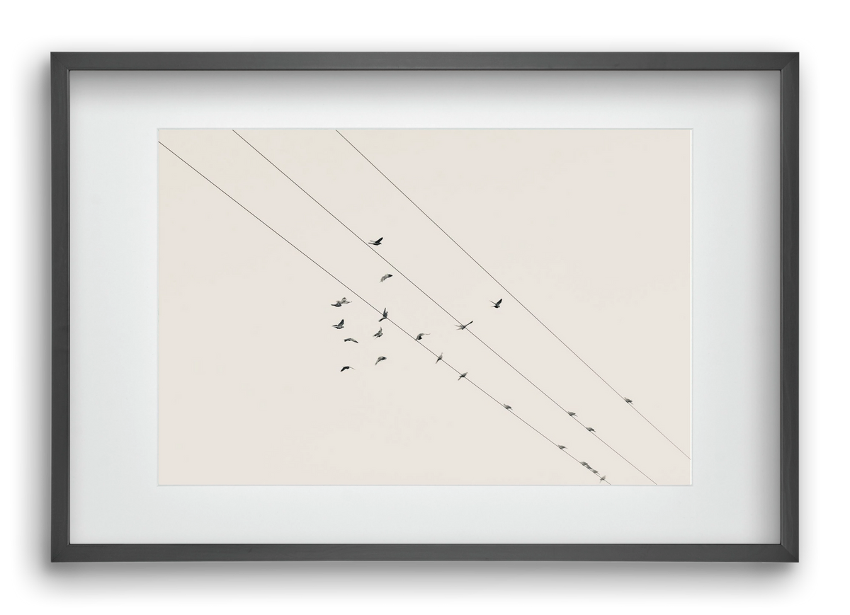 Matrix , 60x40 cm (45x30 cm), Fekete keret, paszpartuval