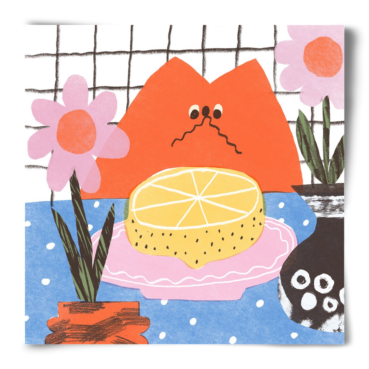 A cat eating lemon, 50x50 cm, Keret nélkül