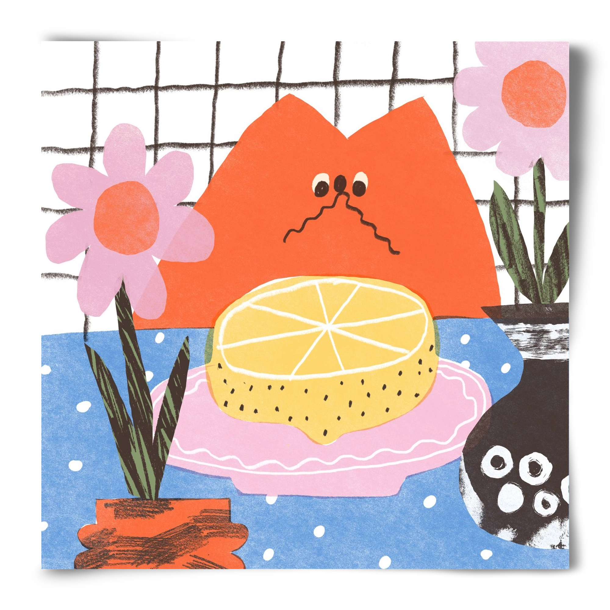 A cat eating lemon, 50x50 cm, Keret nélkül