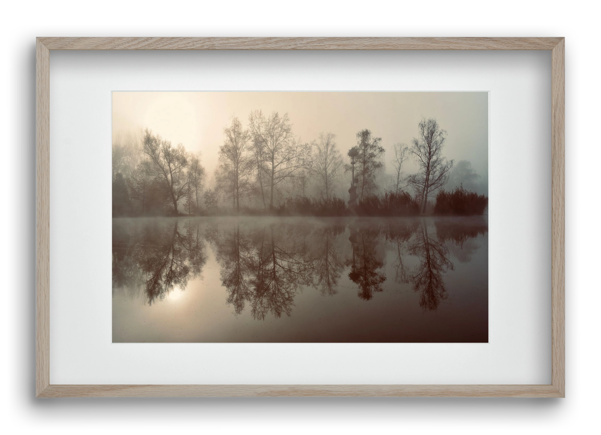 Dreamer, 60x40 cm (45x30 cm), Tölgy keret, paszpartuval