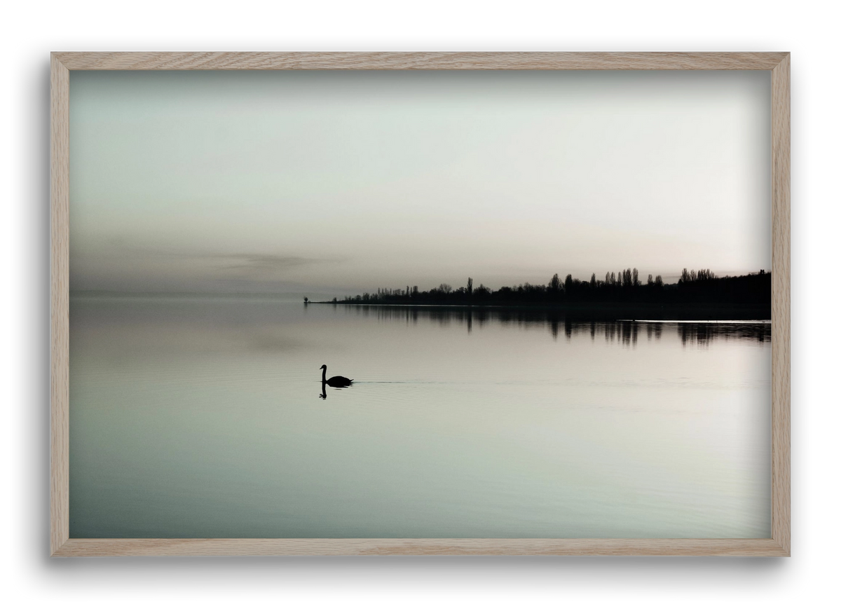 helikon , 60x40 cm (60x40 cm), Tölgy keret