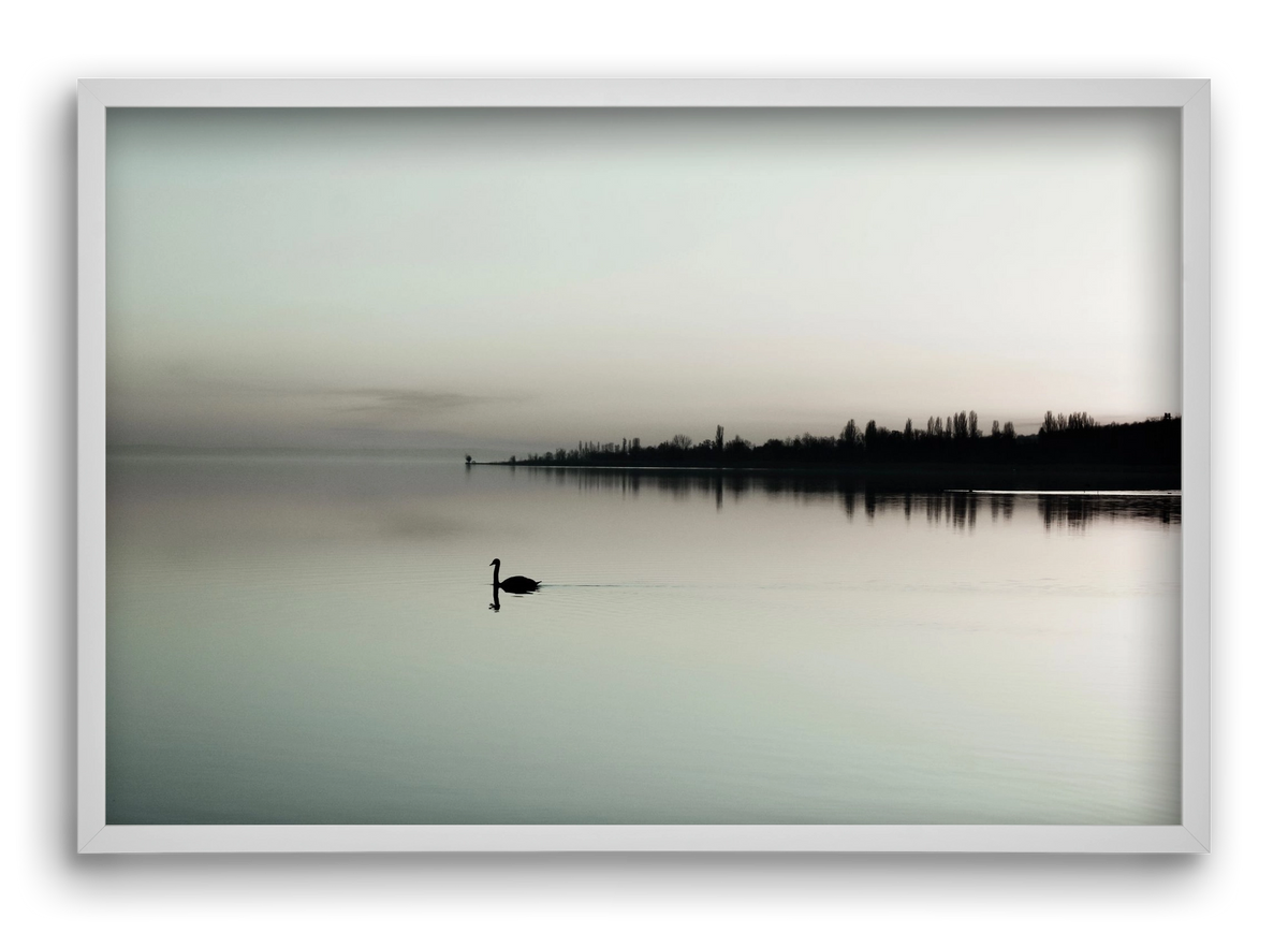 helikon , 60x40 cm (60x40 cm), Fehér keret