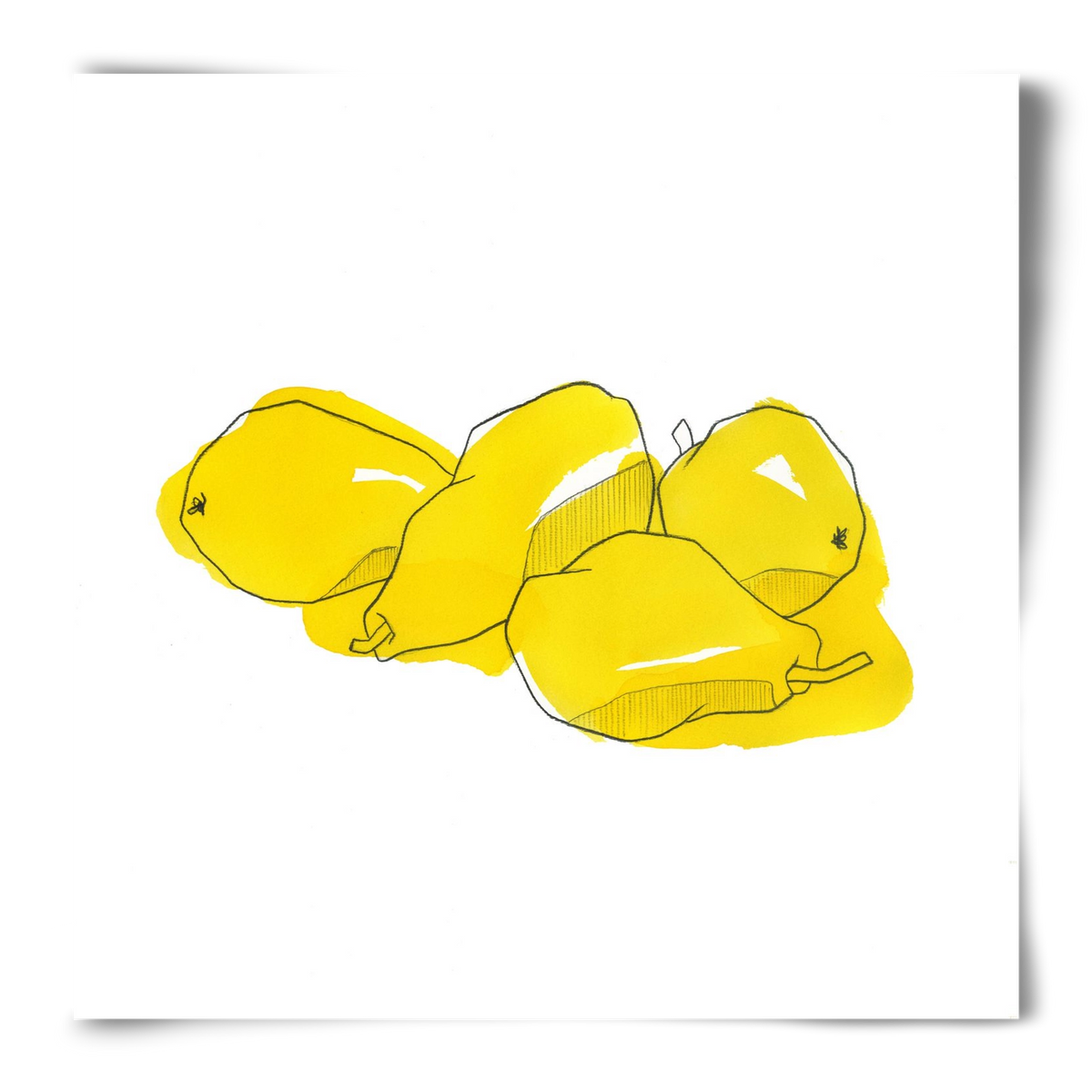 Pears, 50x50 cm, Keret nélkül