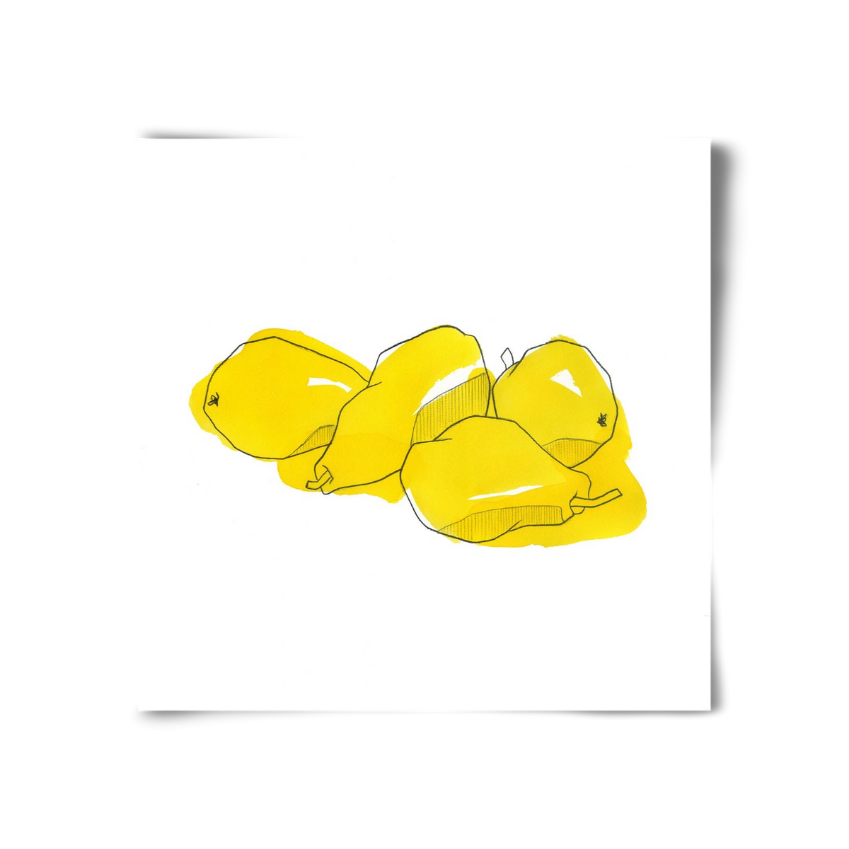 Pears, 30x30 cm, Keret nélkül