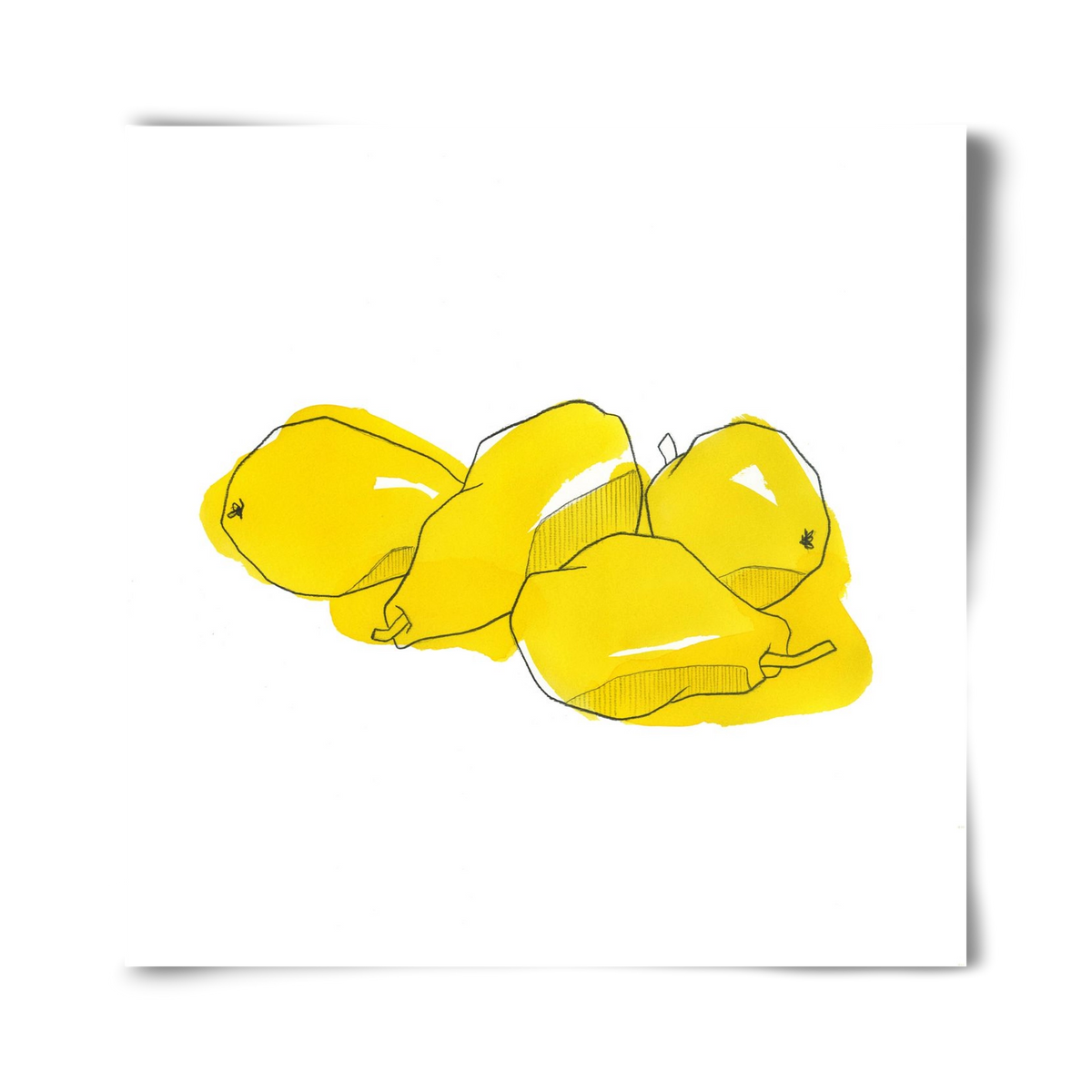 Pears, 40x40 cm, Keret nélkül