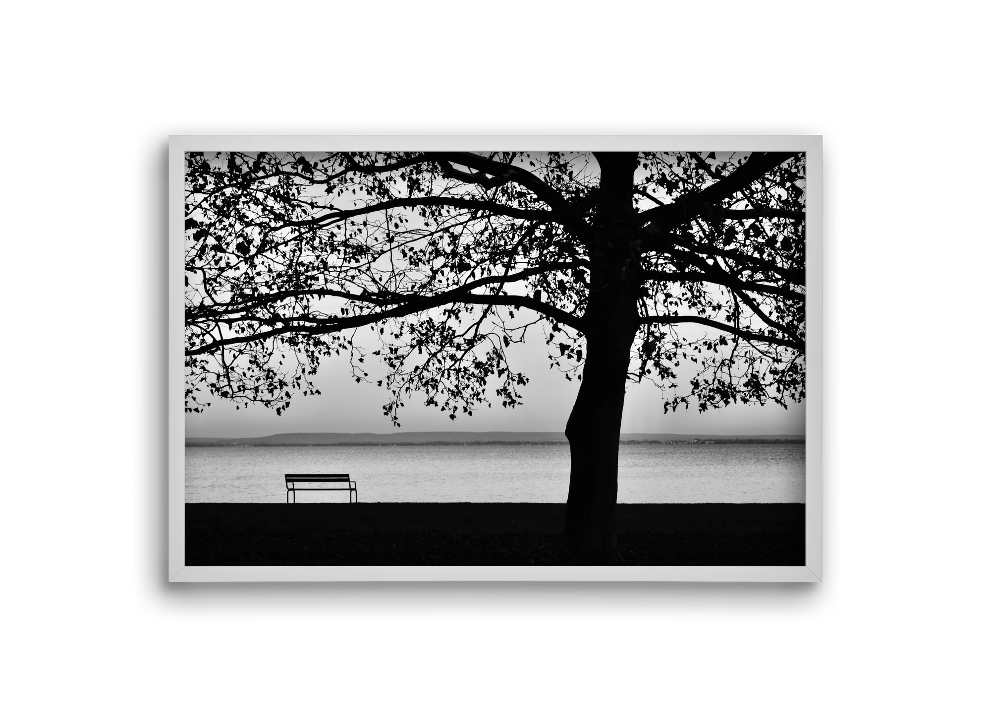 Badacsony part, 30x20 cm (30x20 cm), Fehér keret