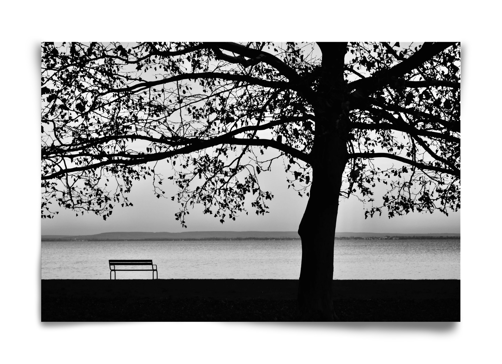 Badacsony part, 60x40 cm, Keret nélkül