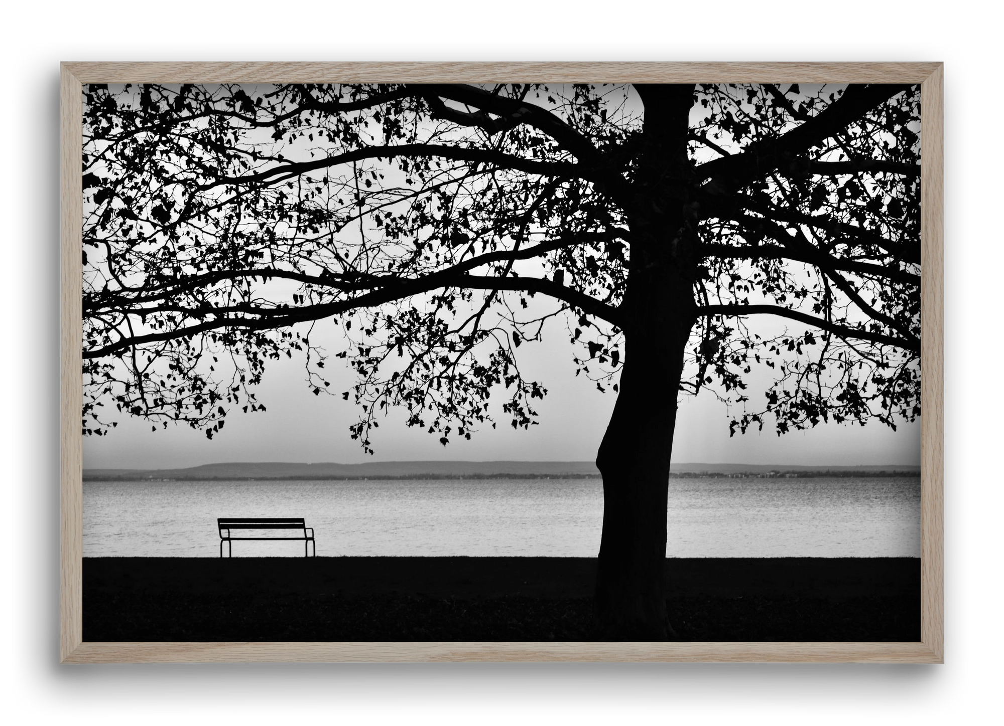 Badacsony part, 60x40 cm (60x40 cm), Tölgy keret