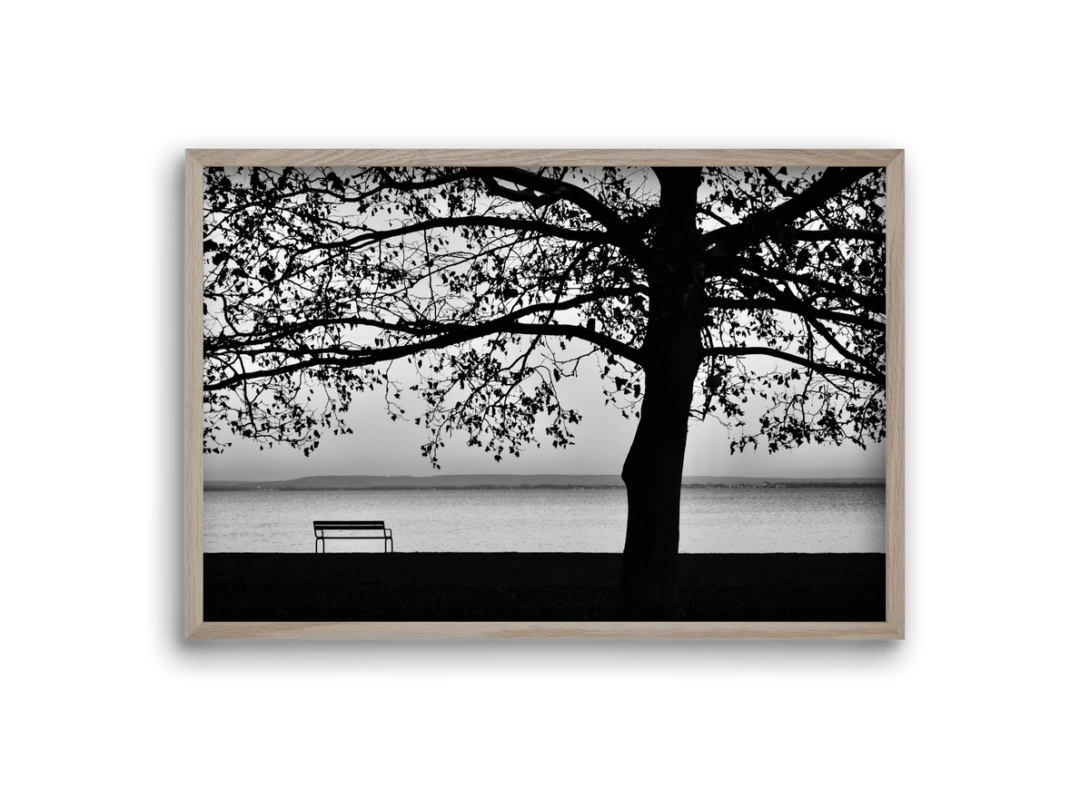 Badacsony part, 30x20 cm (30x20 cm), Tölgy keret