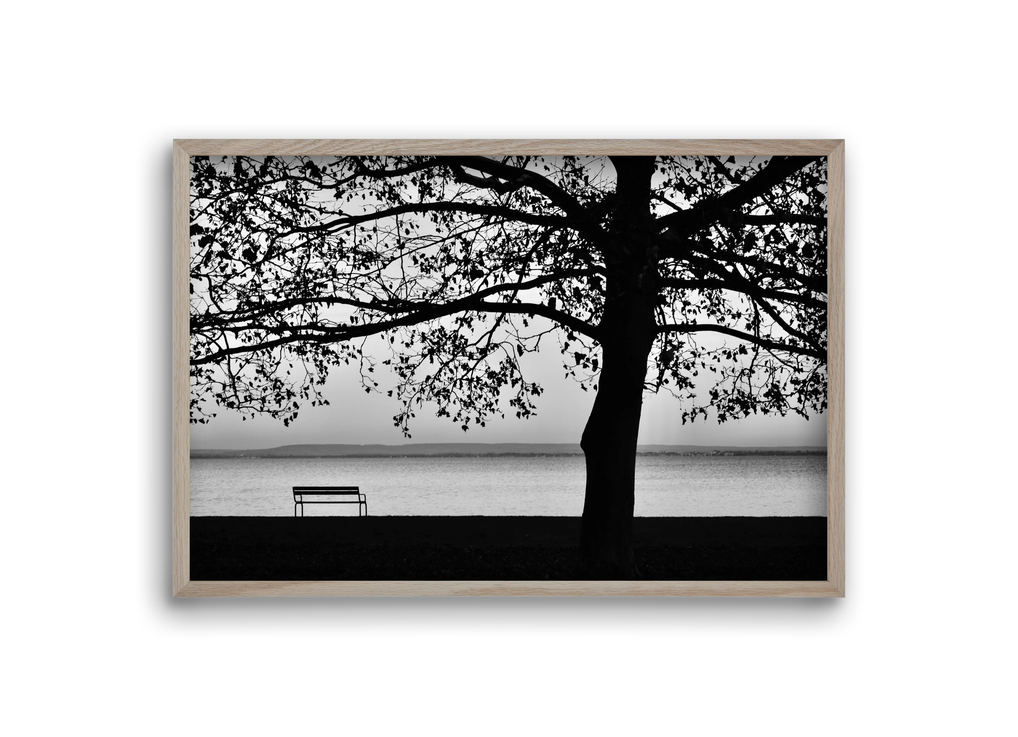 Badacsony part, 30x20 cm (30x20 cm), Tölgy keret