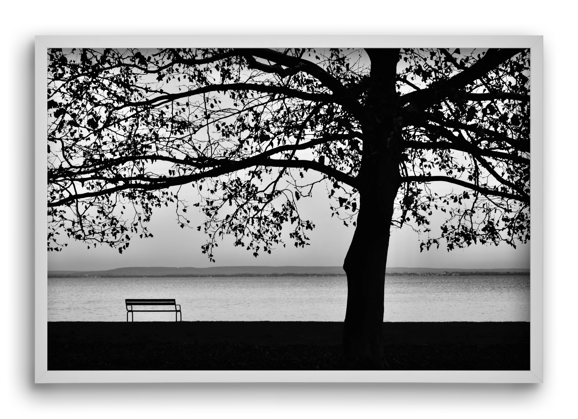 Badacsony part, 60x40 cm (60x40 cm), Fehér keret