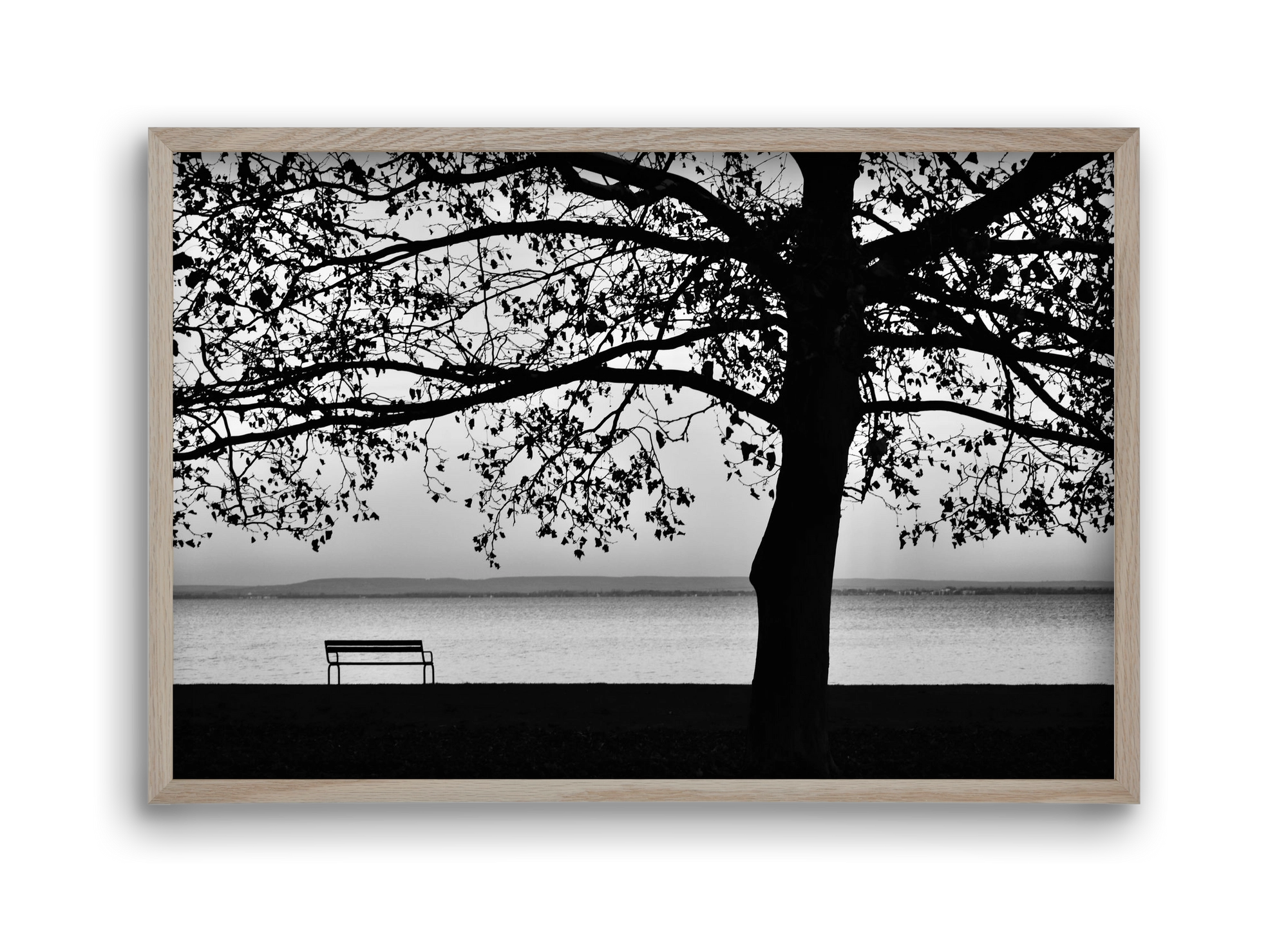 Badacsony part, 45x30 cm (45x30 cm), Tölgy keret