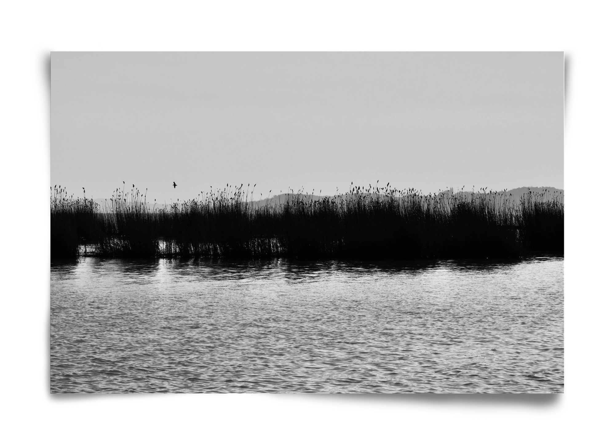 abbey, 60x40 cm, Keret nélkül