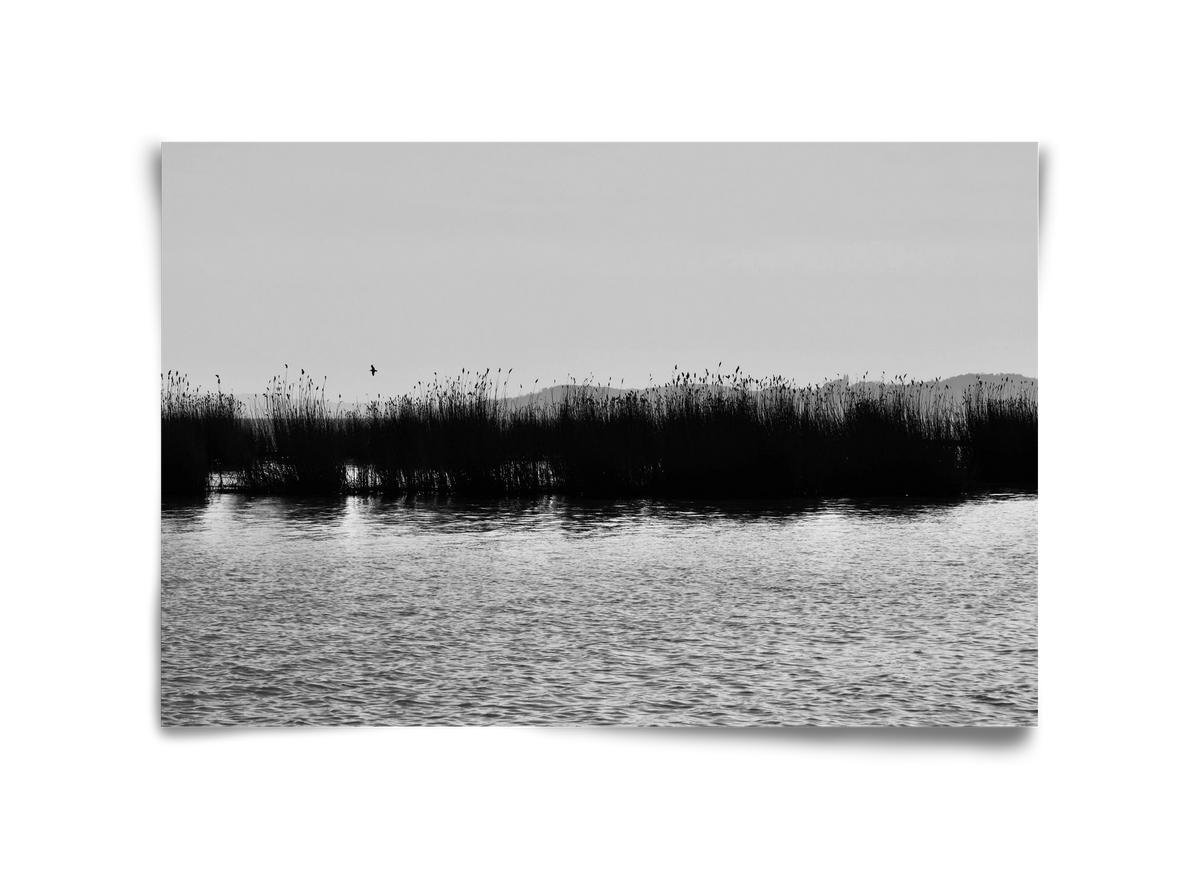 abbey, 45x30 cm, Keret nélkül