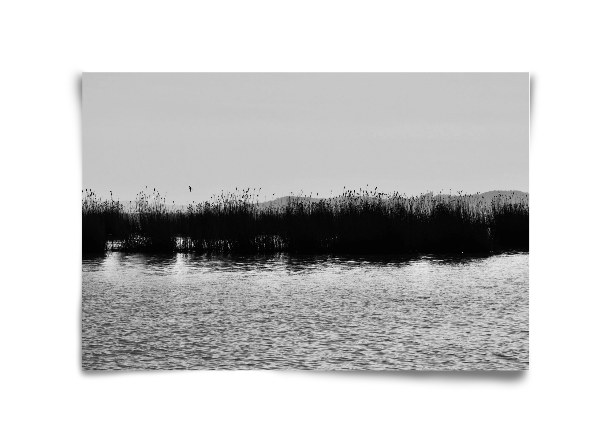 abbey, 45x30 cm, Keret nélkül