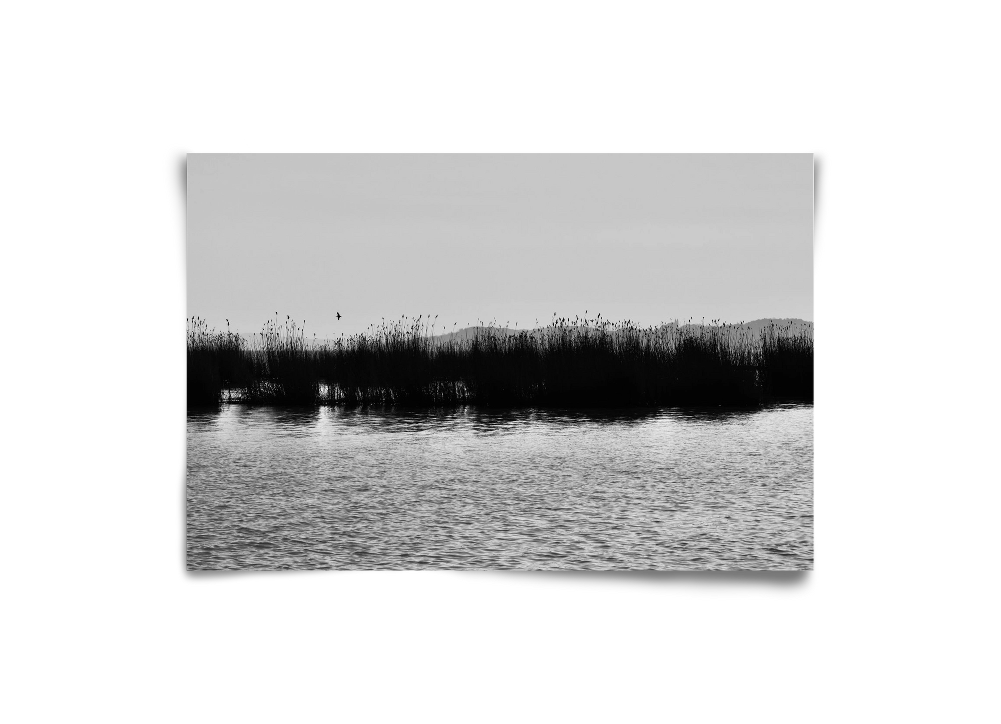 abbey, 30x20 cm, Keret nélkül