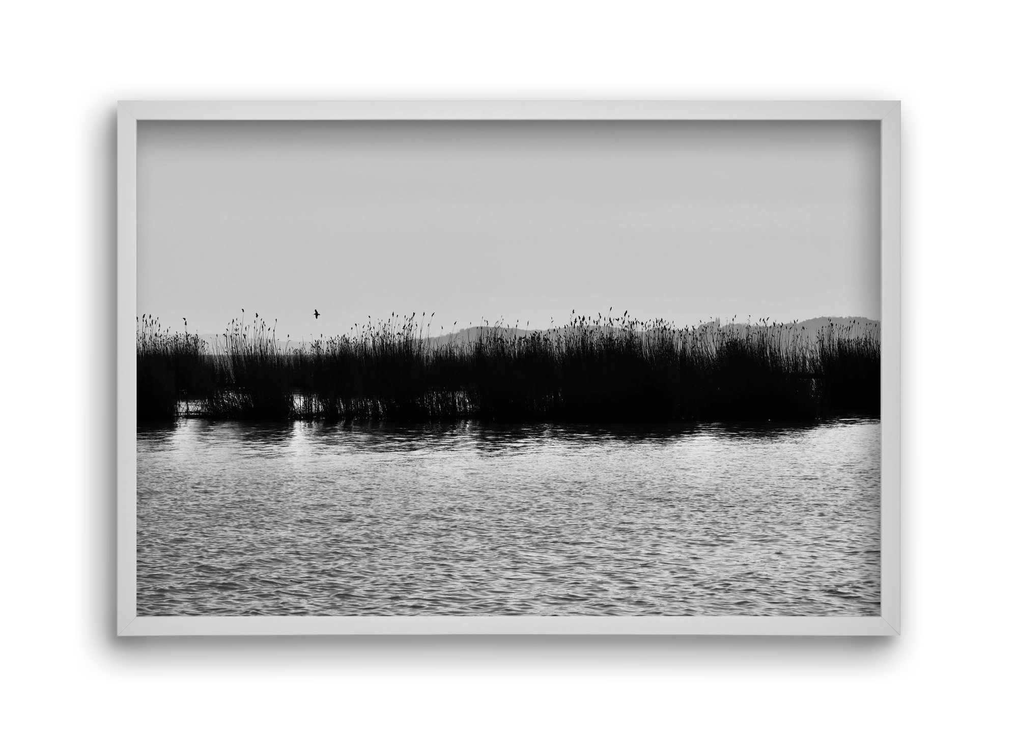 abbey, 45x30 cm (45x30 cm), Fehér keret