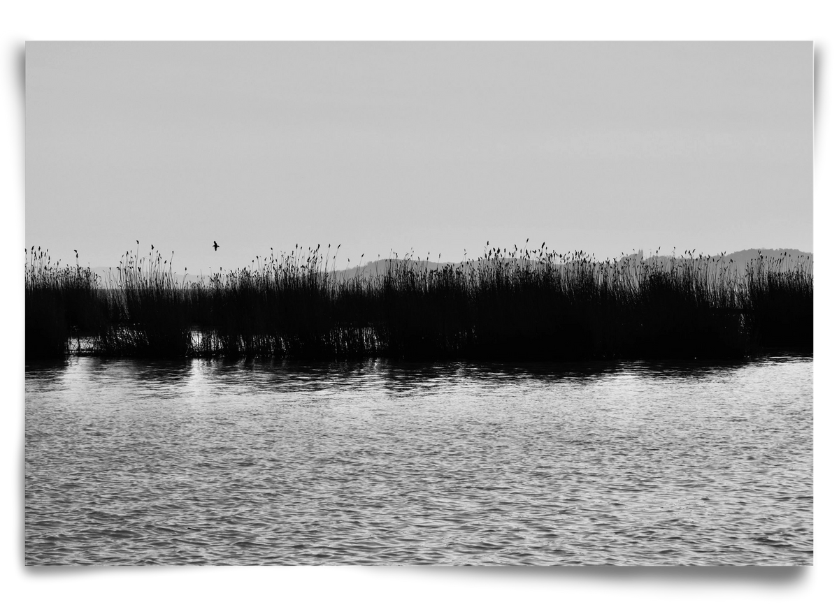 abbey, 90x60 cm, Keret nélkül