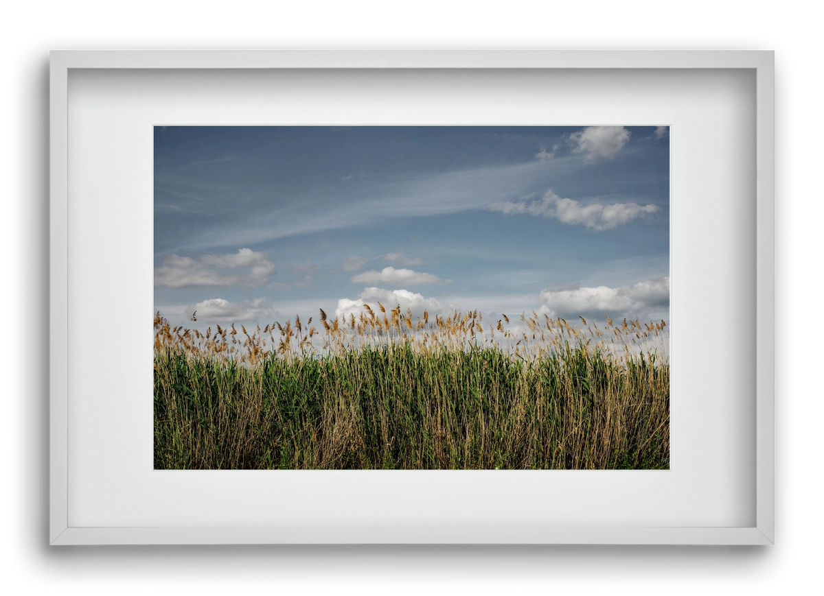 SILENCE, 60x40 cm (45x30 cm), Fehér keret, paszpartuval