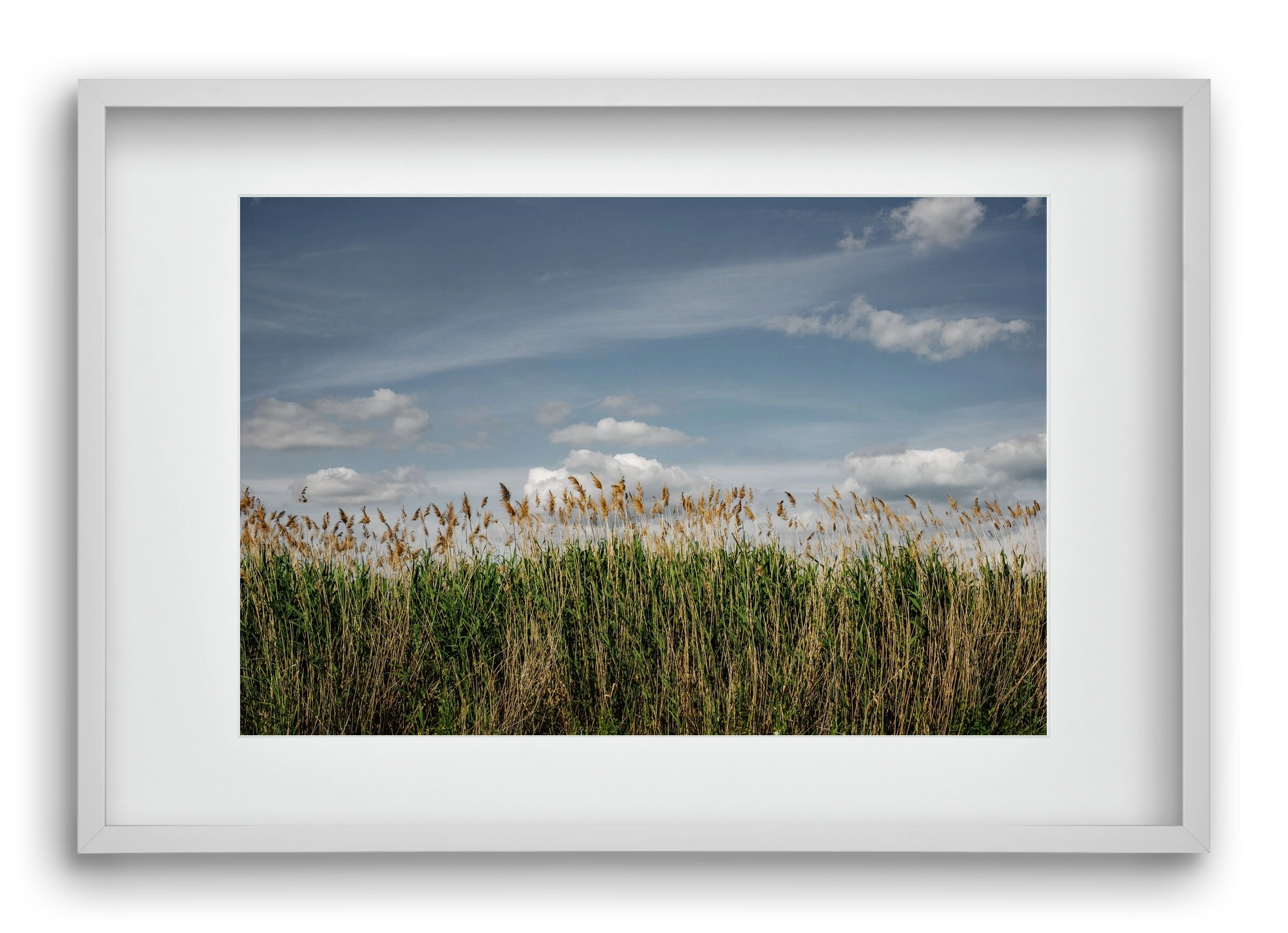 SILENCE, 60x40 cm (45x30 cm), Fehér keret, paszpartuval