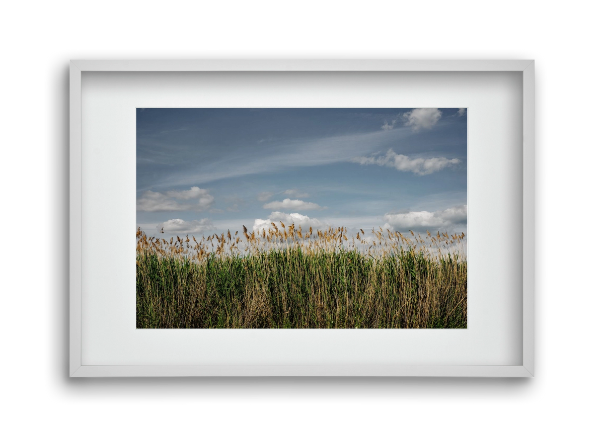 SILENCE, 45x30 cm (30x20 cm), Fehér keret, paszpartuval